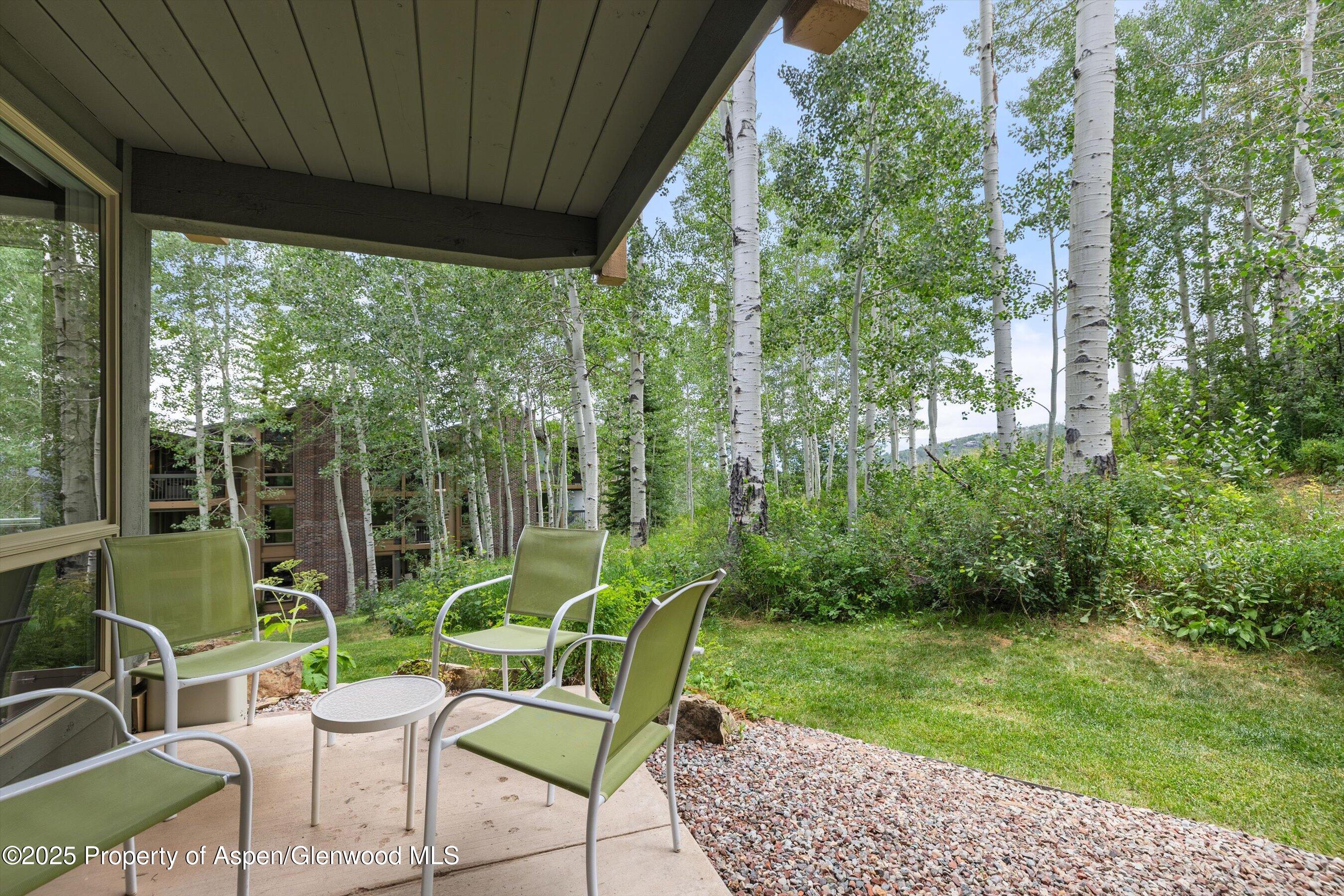 855 CARRIAGE Way, 103, Snowmass Village Unit: 103