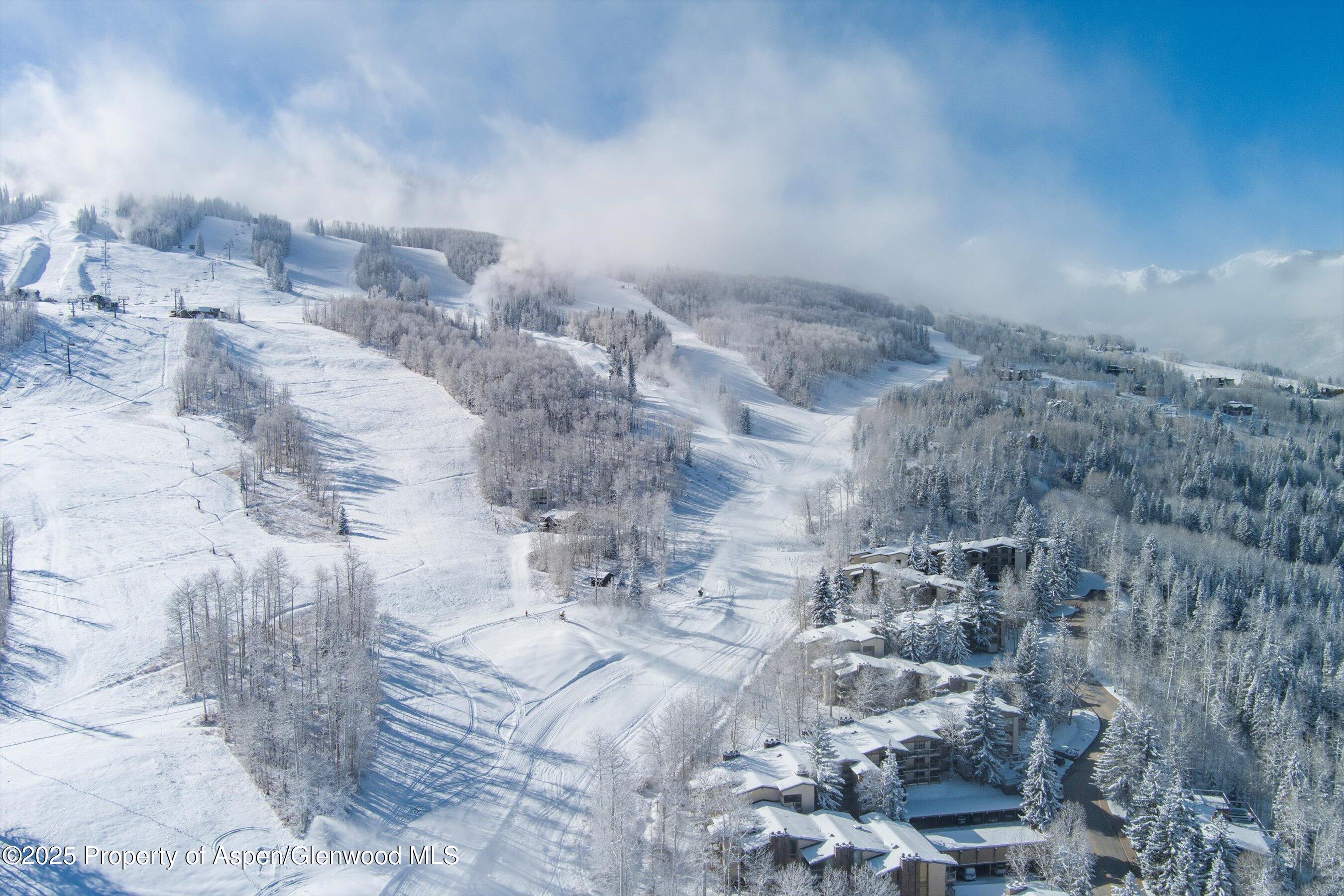 855 CARRIAGE Way 309