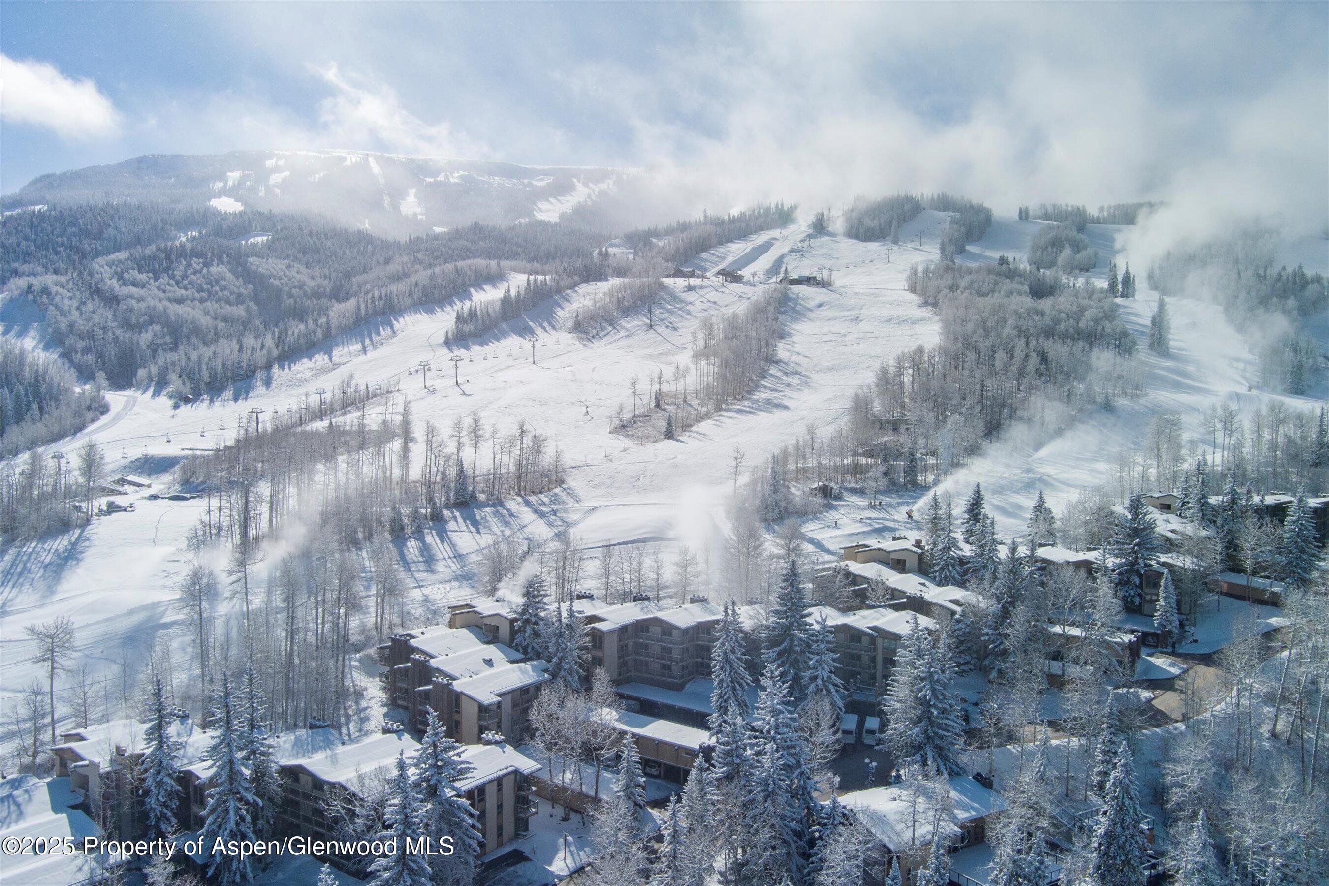 855 CARRIAGE Way 309