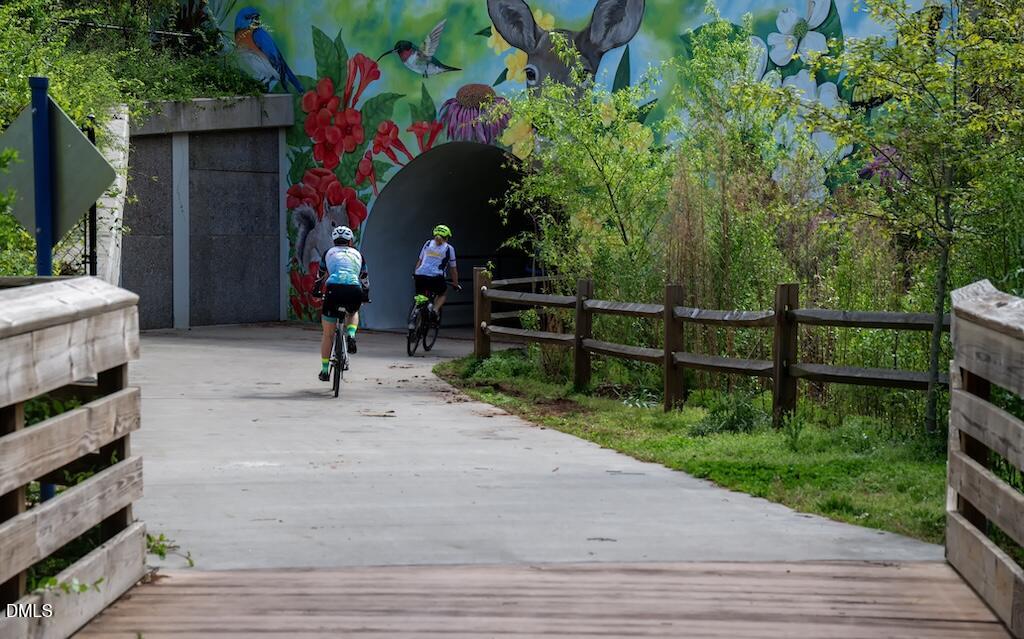 108 Milley Brook Court