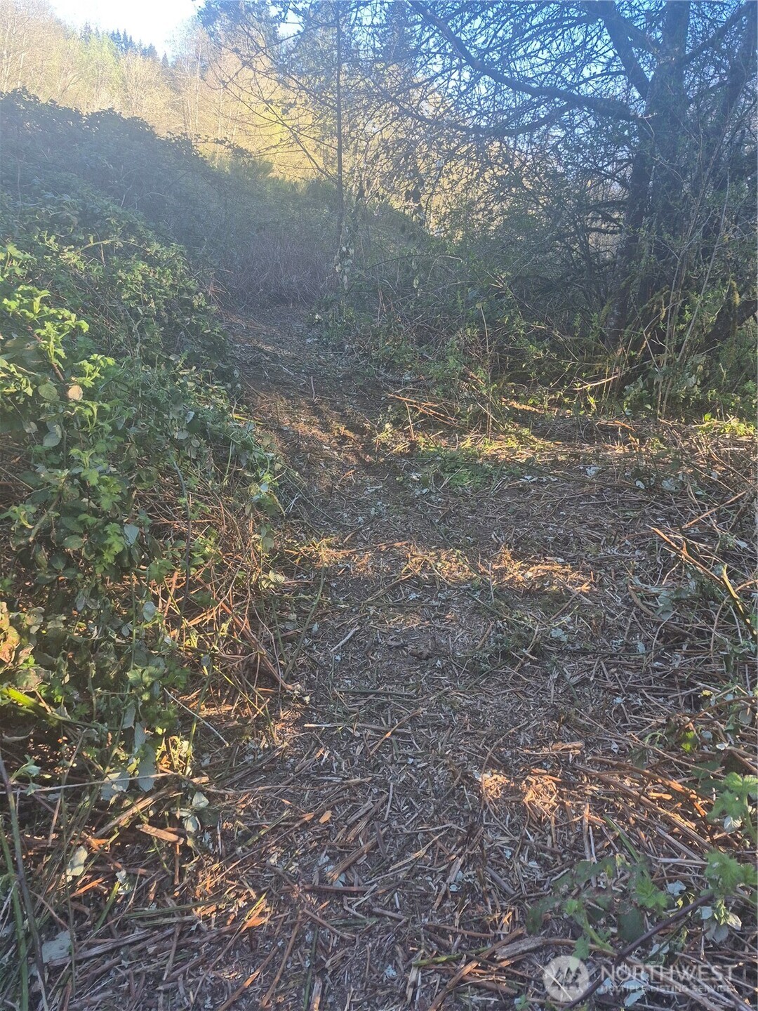 28 Lot NE William E Sutton Road