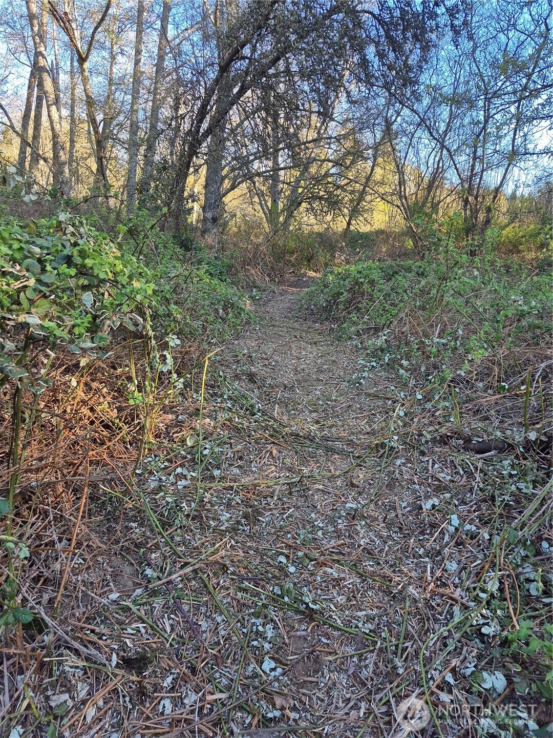 28 Lot NE William E Sutton Road