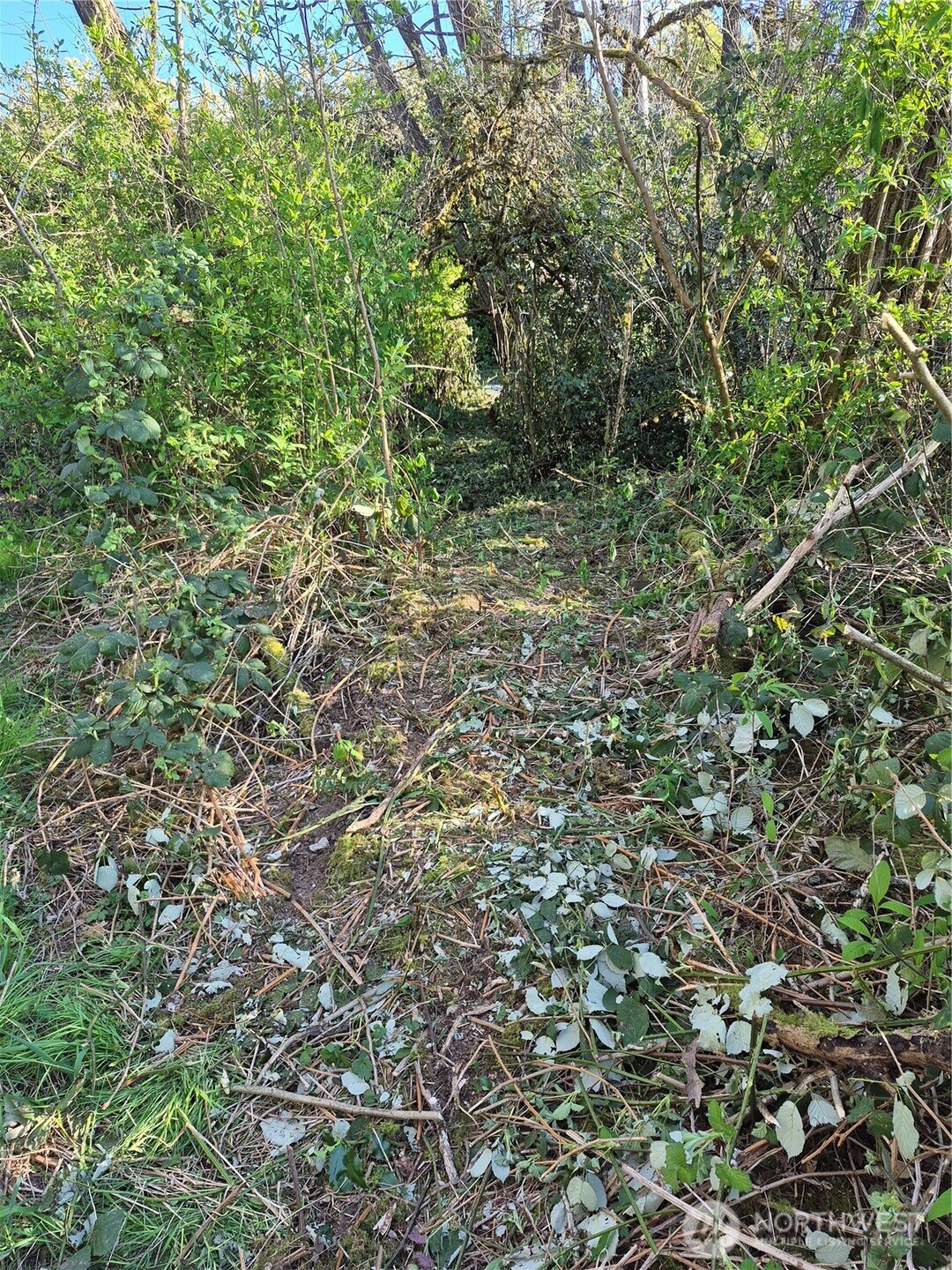 28 Lot NE William E Sutton Road
