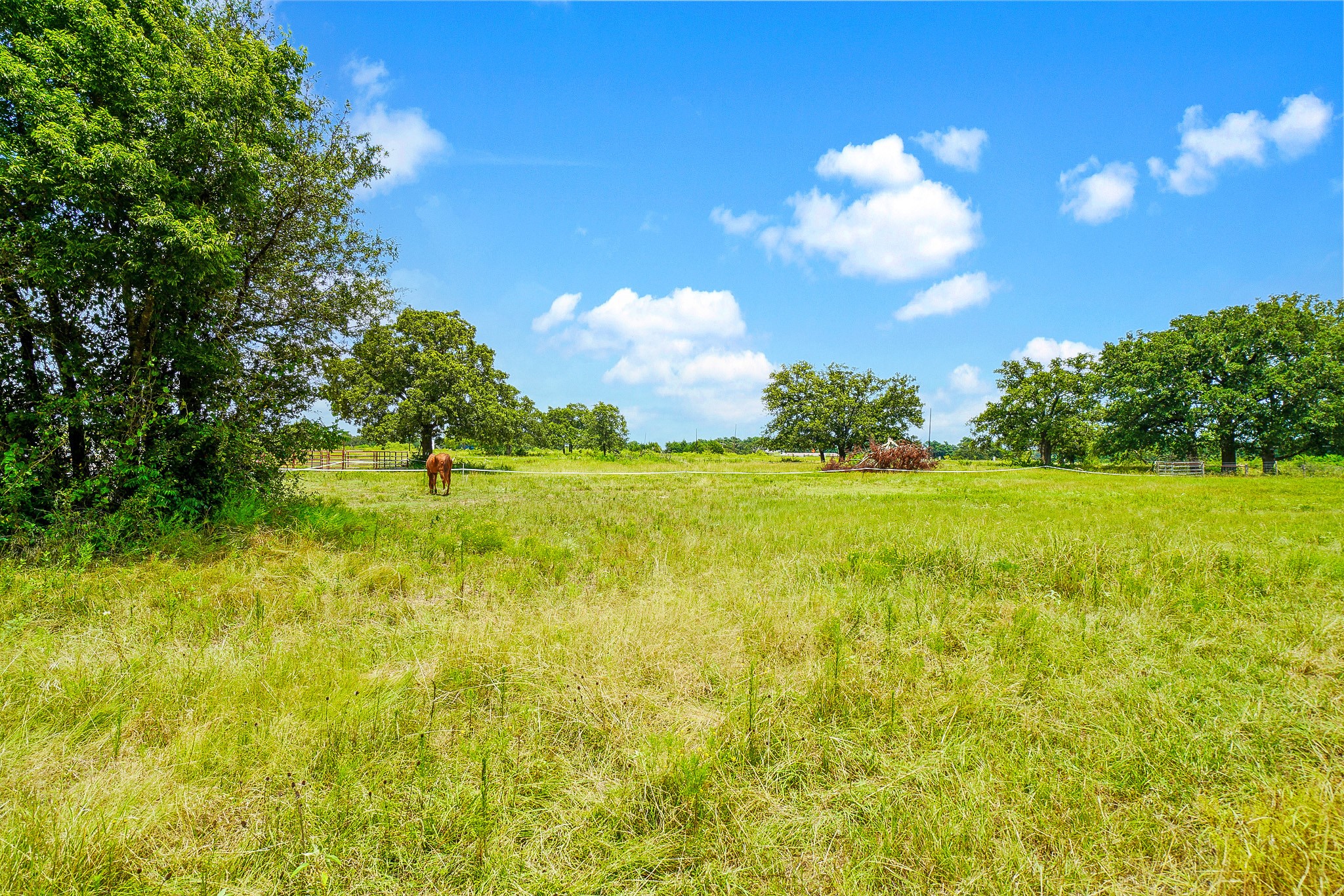 706 US HWY 84 W