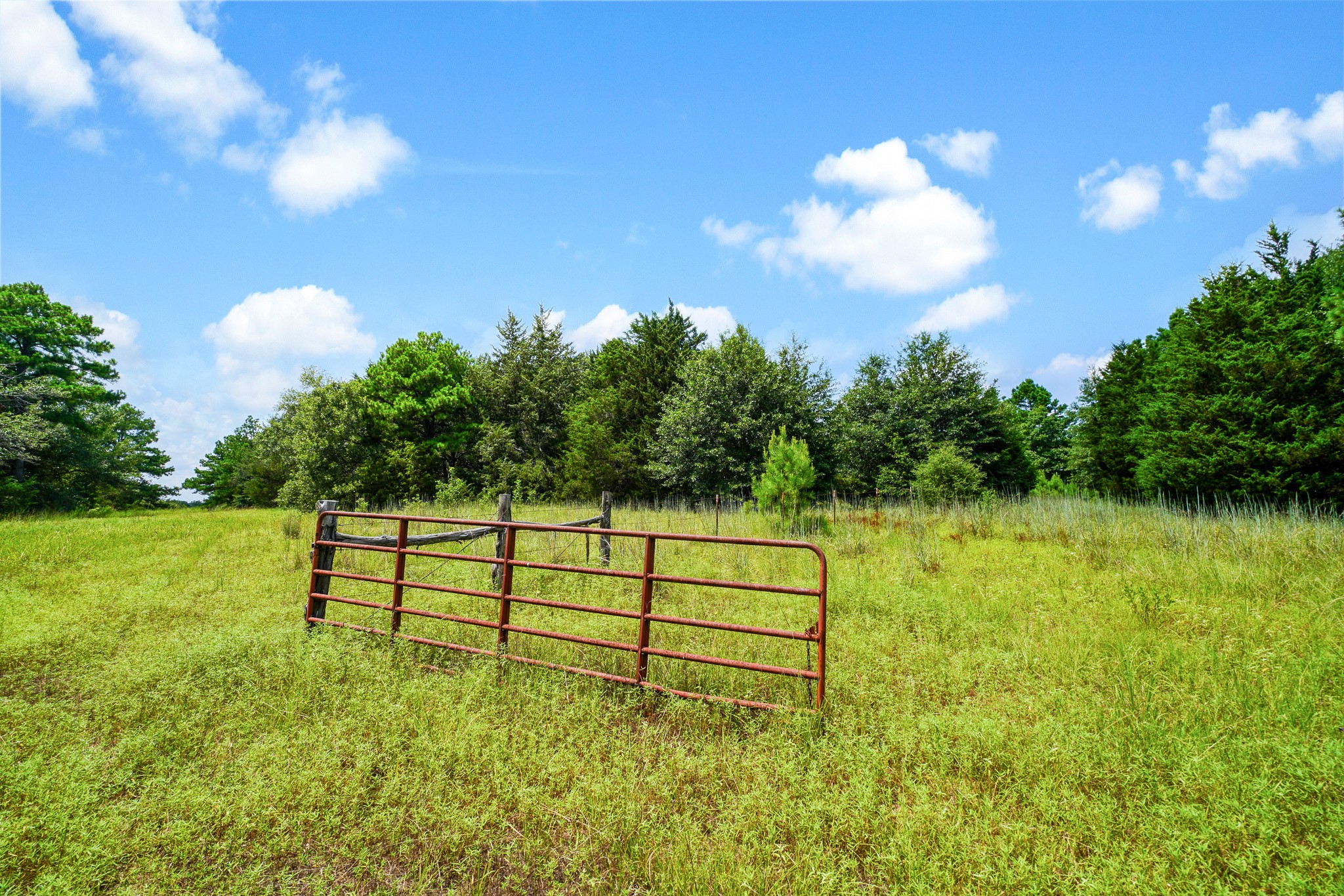 706 US HWY 84 W