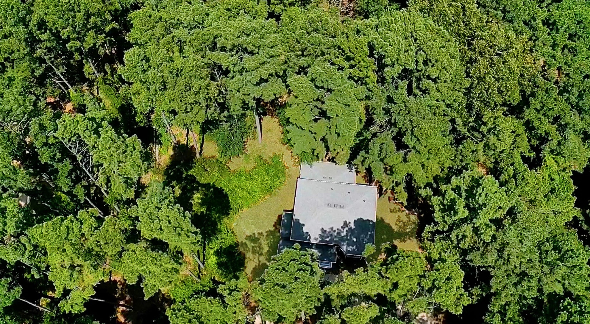 144 Pine Branch Glen
