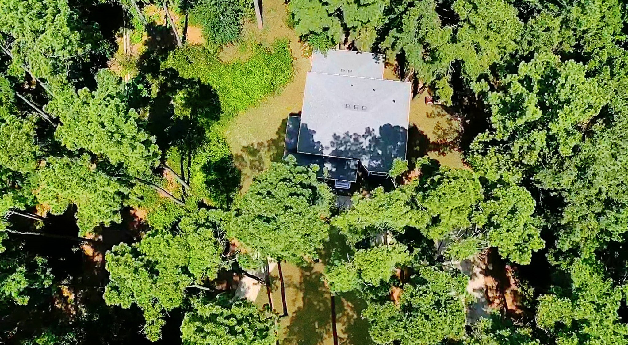 144 Pine Branch Glen