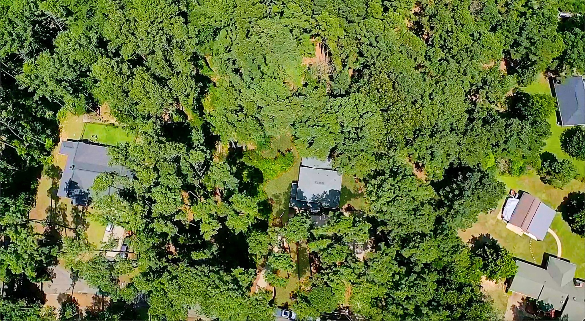 144 Pine Branch Glen