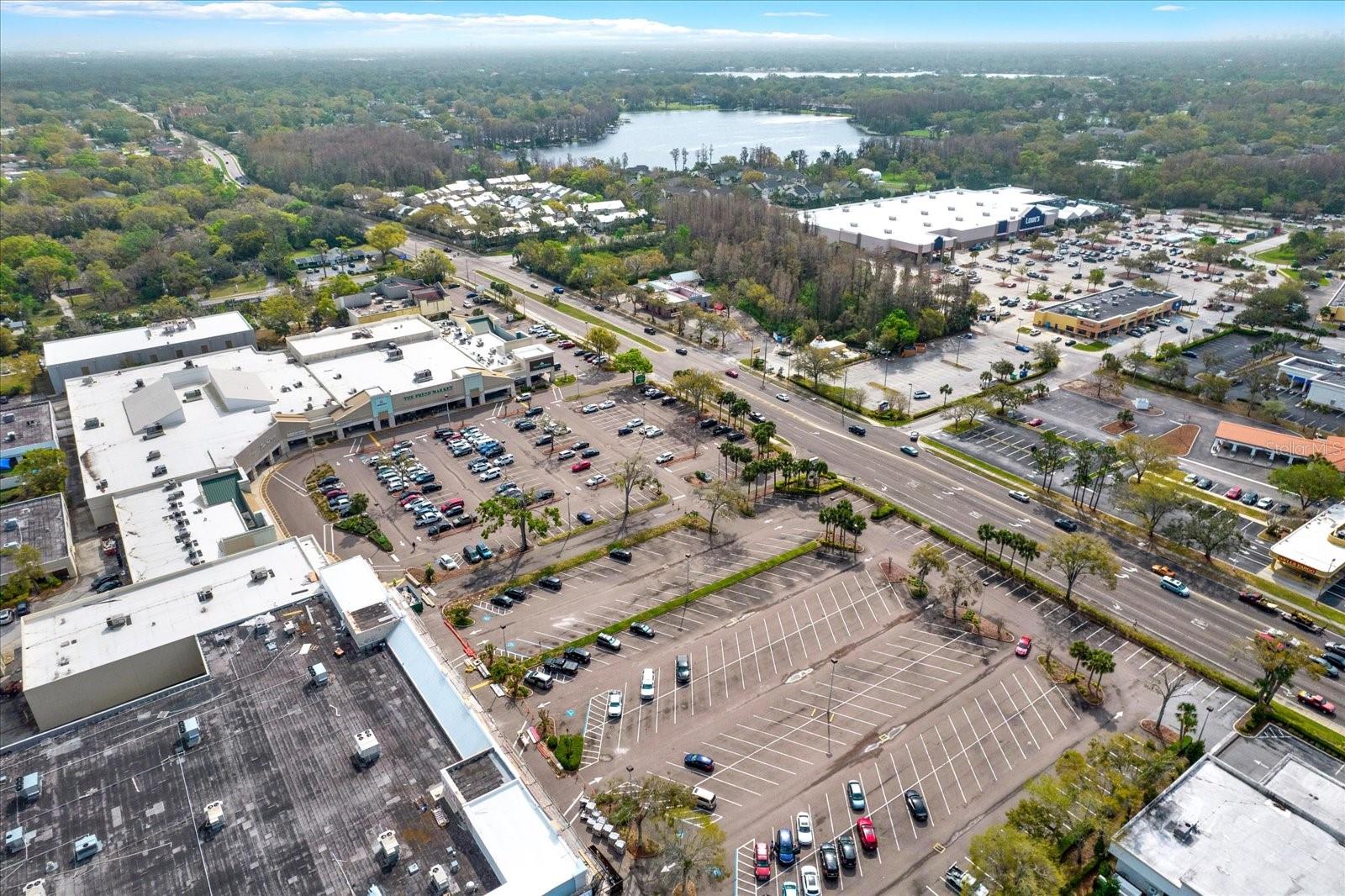 13153 N DALE MABRY HWY