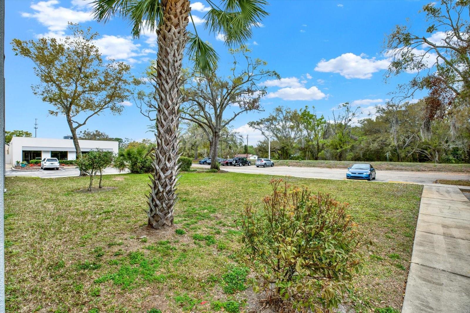 13153 N DALE MABRY HWY