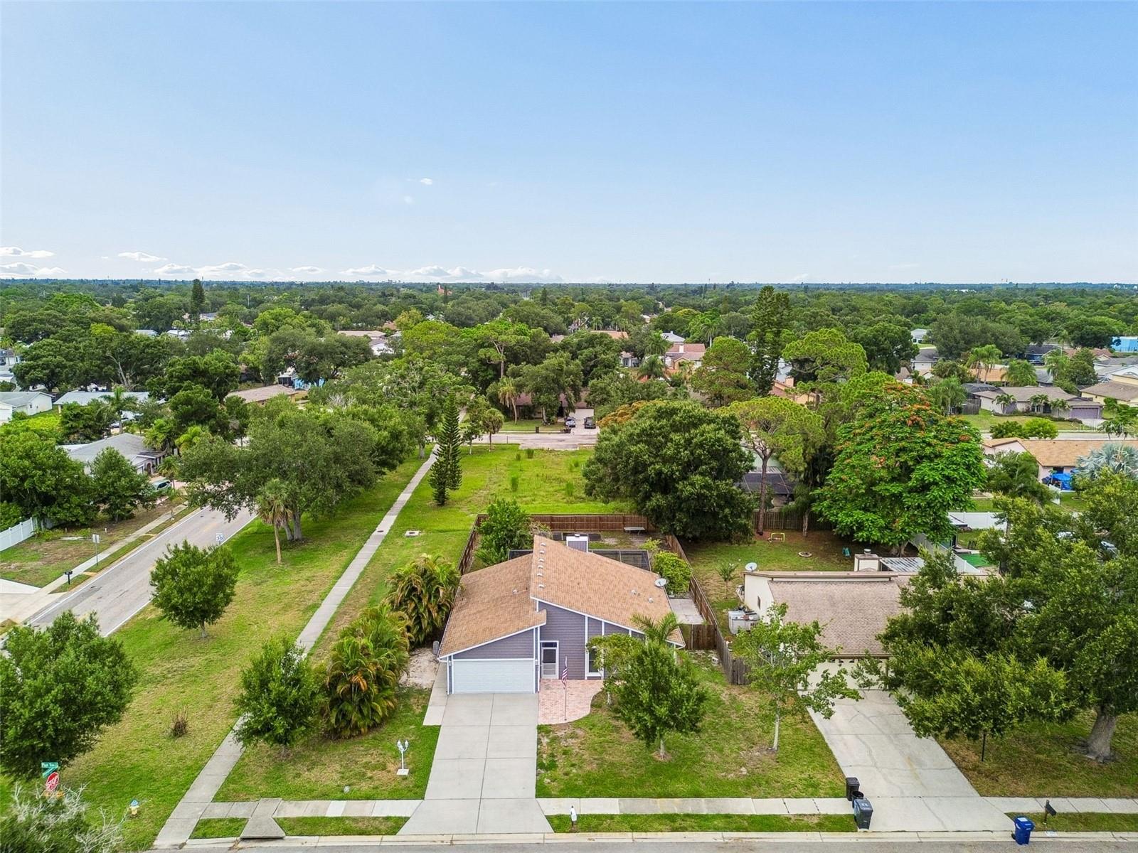 903 PLUM TREE LN