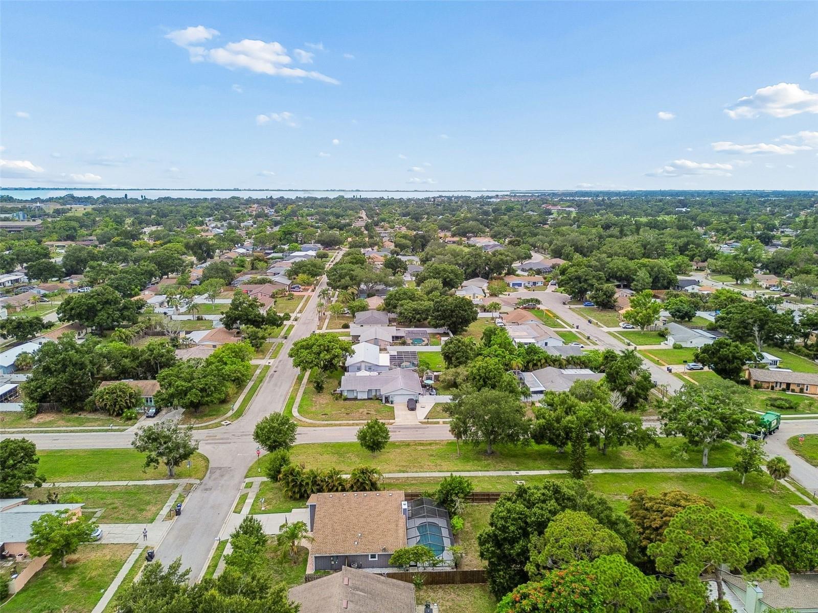 903 PLUM TREE LN