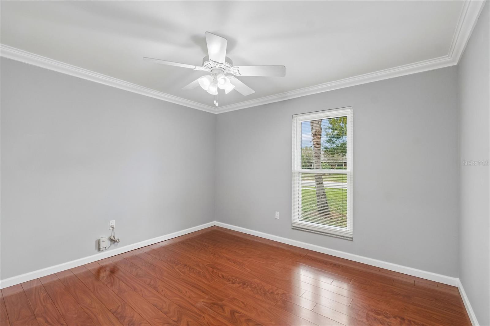 903 PLUM TREE LN