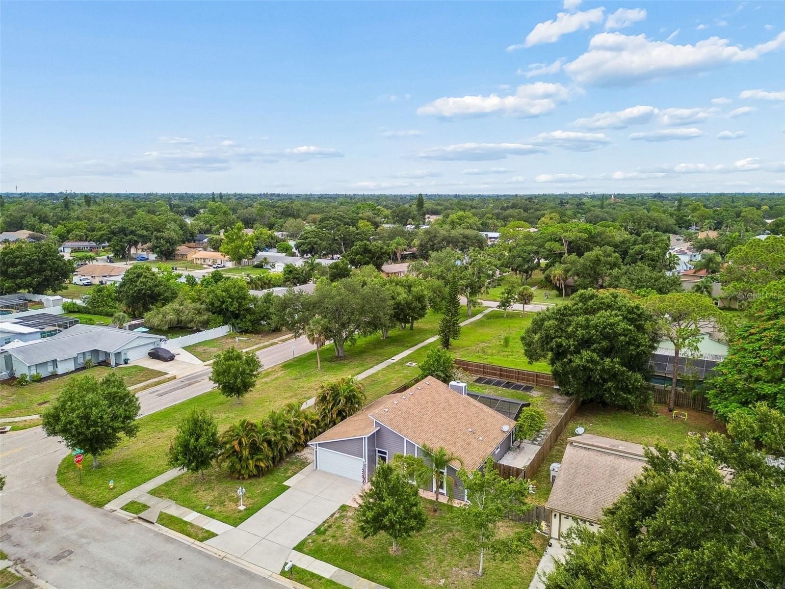903 PLUM TREE LN