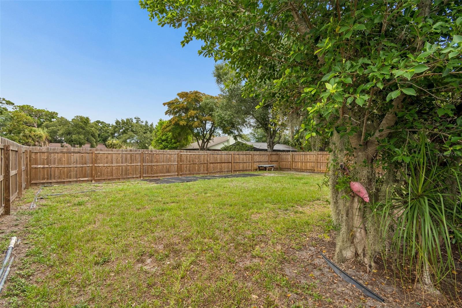 903 PLUM TREE LN