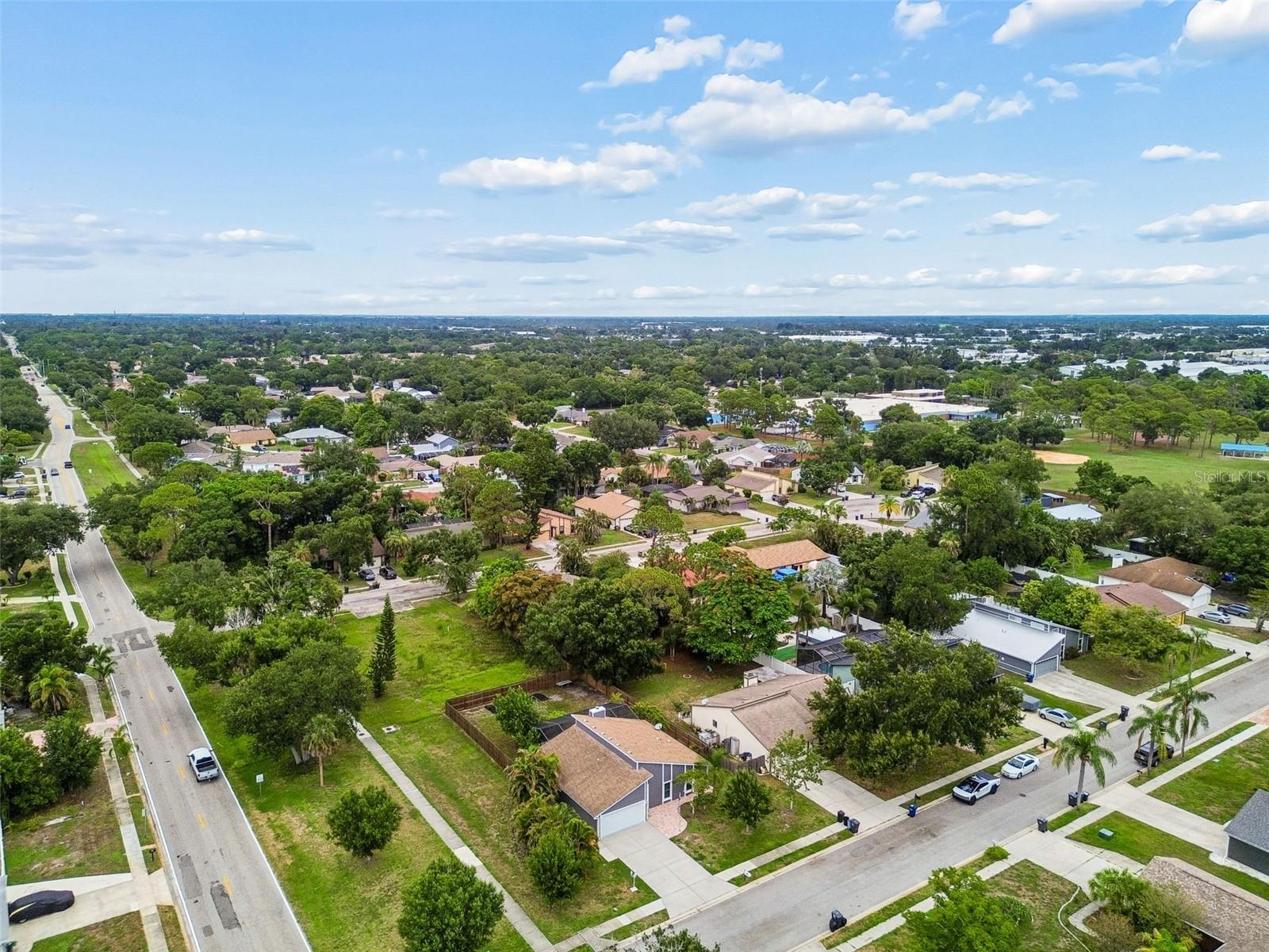 903 PLUM TREE LN