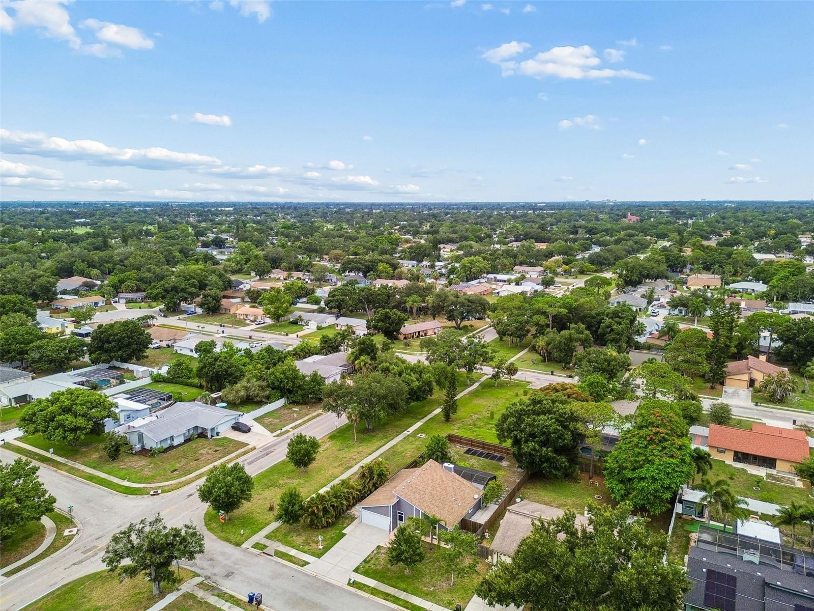 903 PLUM TREE LN
