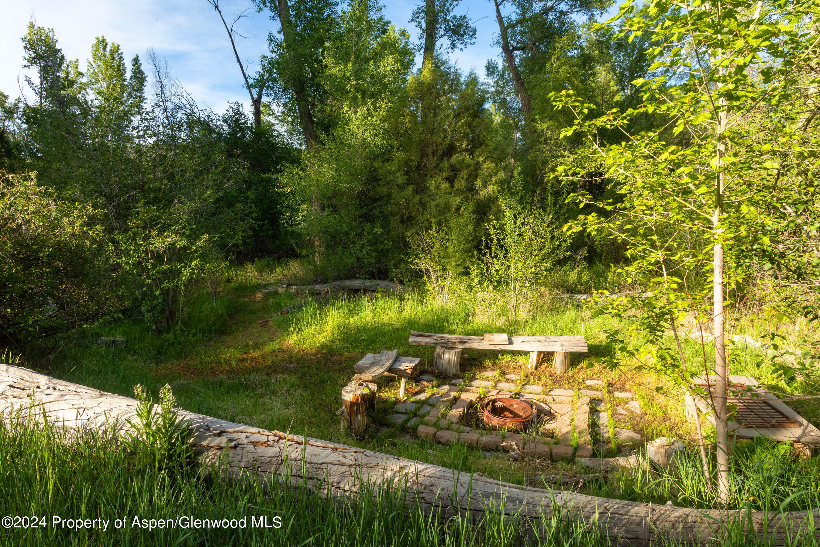 87 Bristlecone Drive