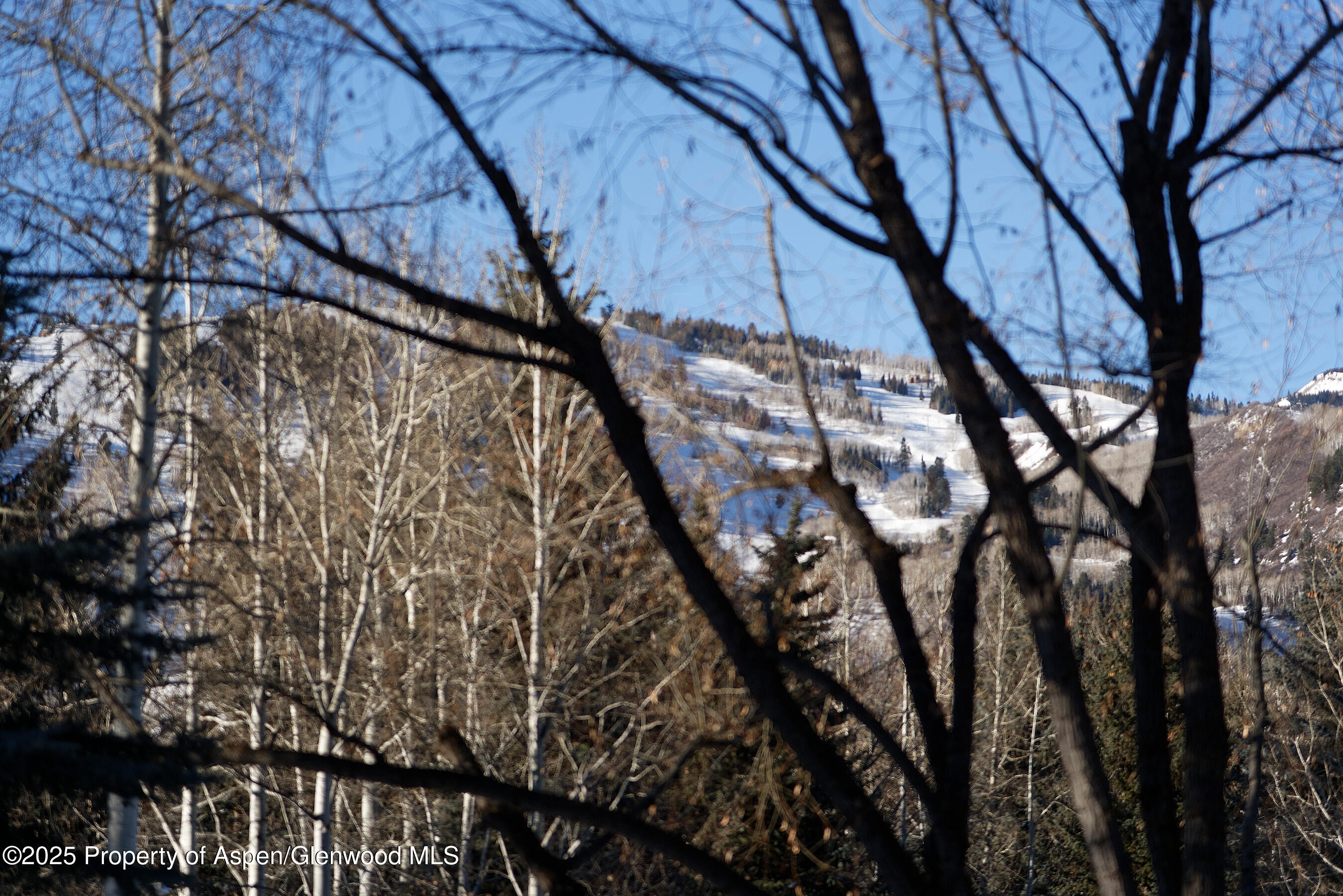1395 Sierra Vista Drive, Unit 1