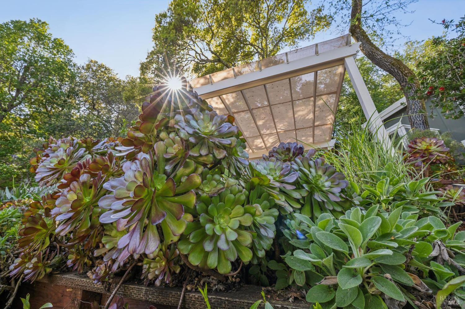 67 Oak Springs Drive