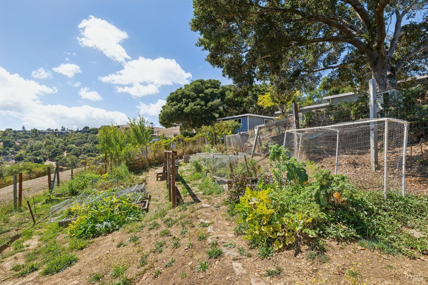 150 W Oak Knoll Drive