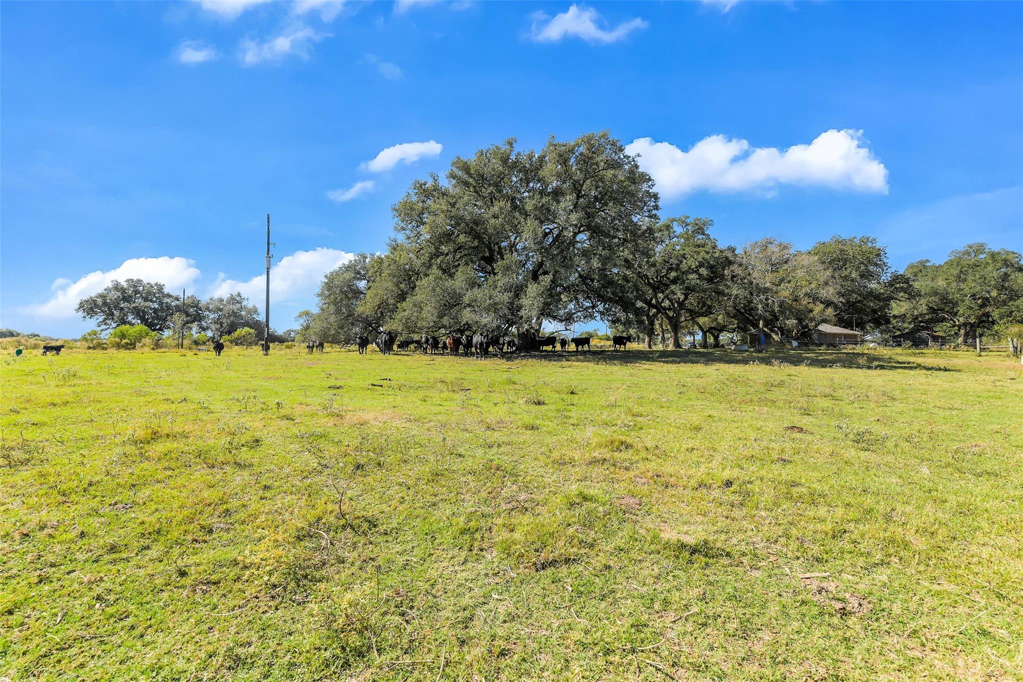 28107 Margerstadt Road