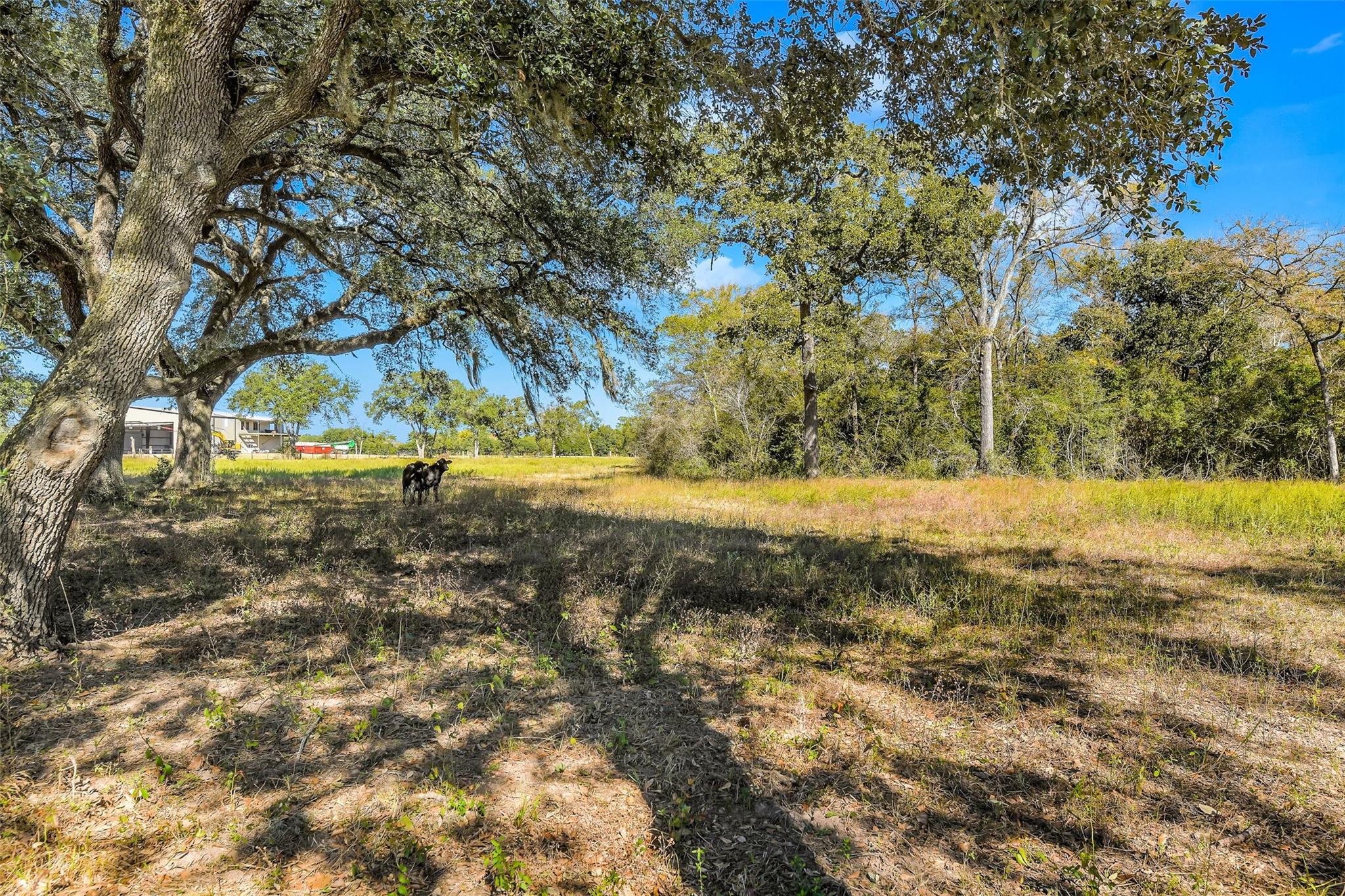 28107 Margerstadt Road