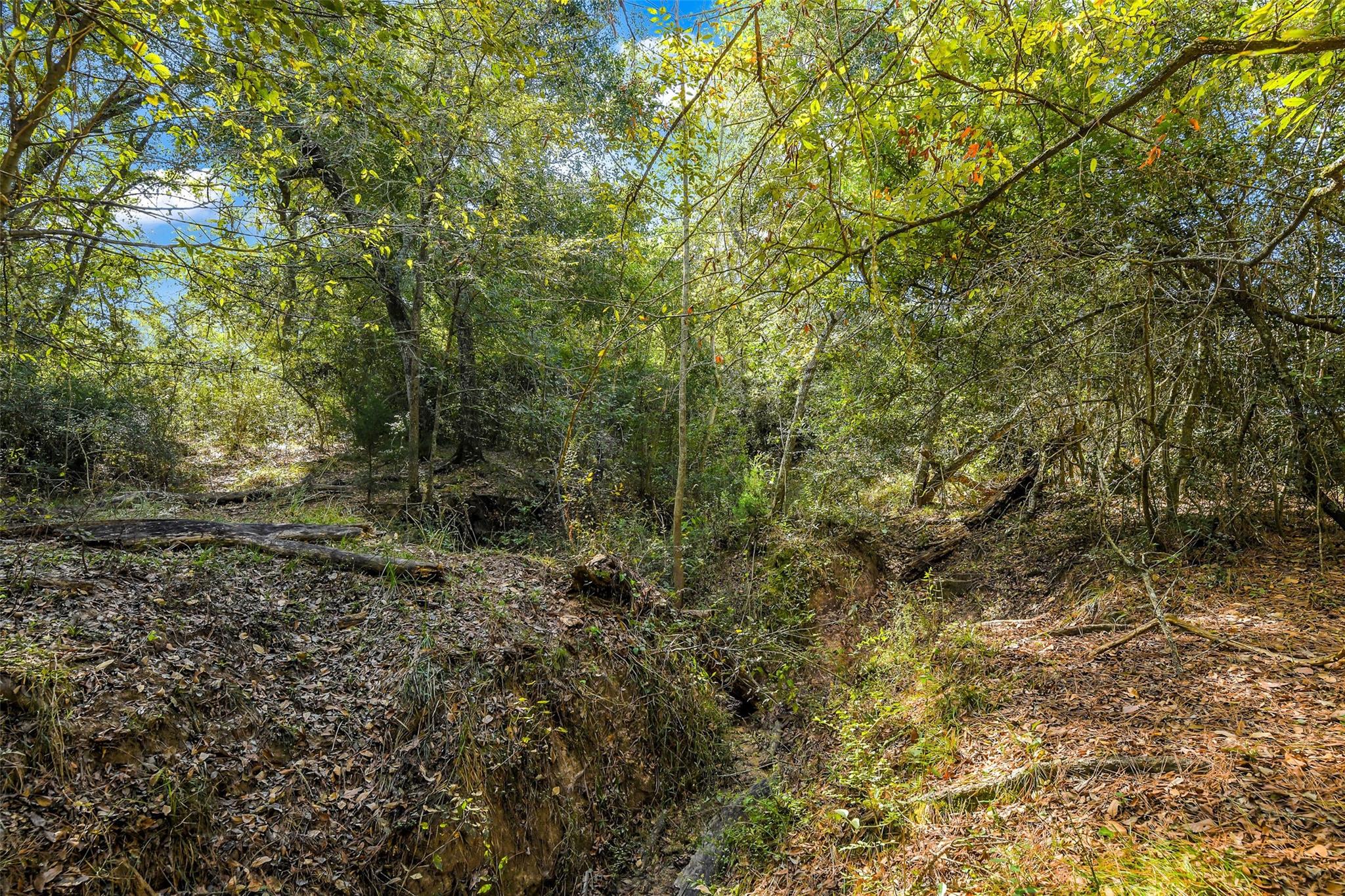 28107 Margerstadt Road