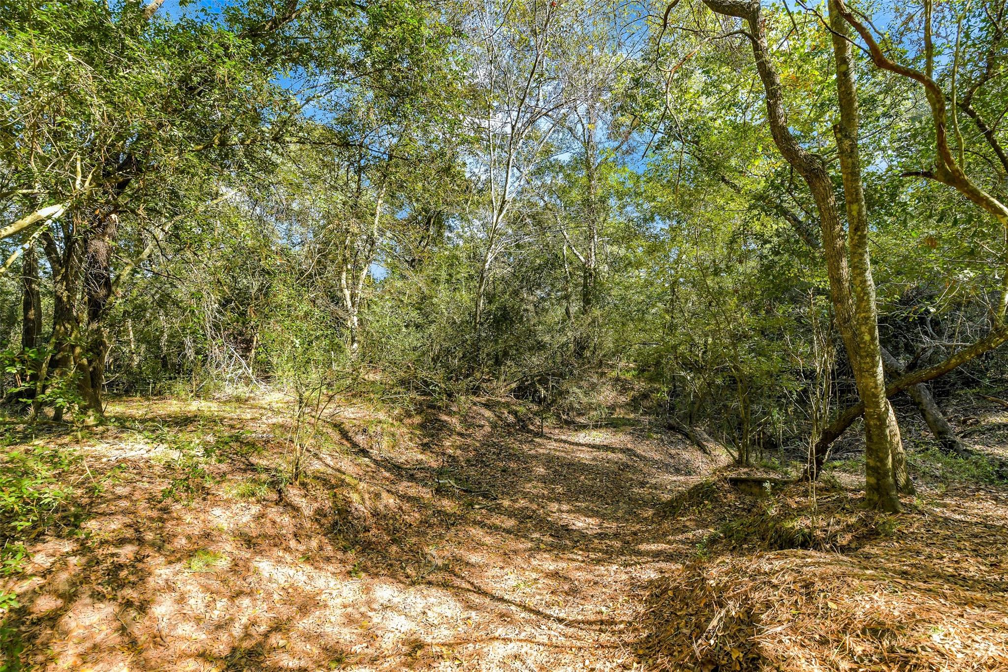 28107 Margerstadt Road