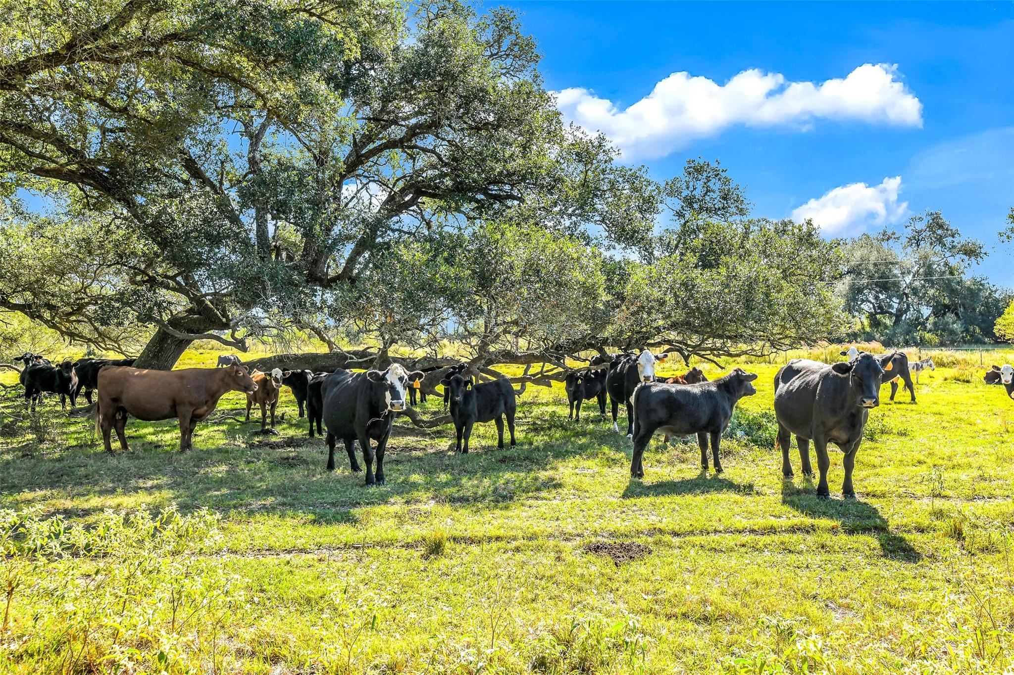 28107 Margerstadt Road