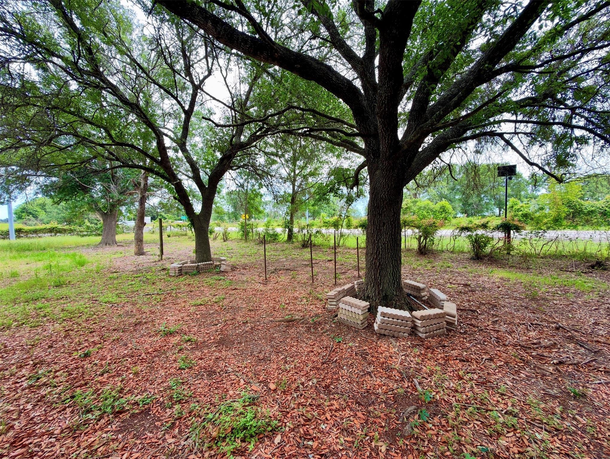 34114 Fm 1488 Road
