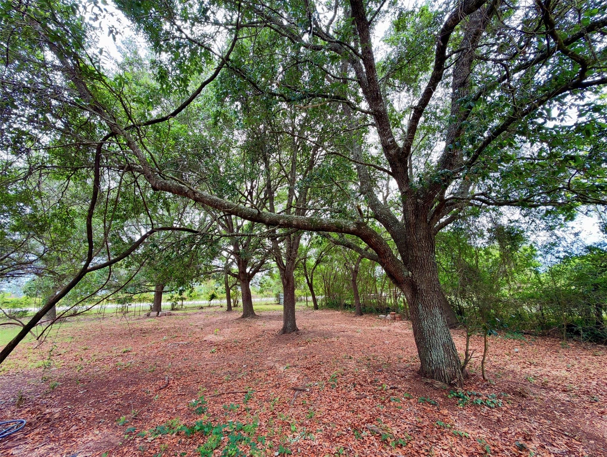 34114 Fm 1488 Road