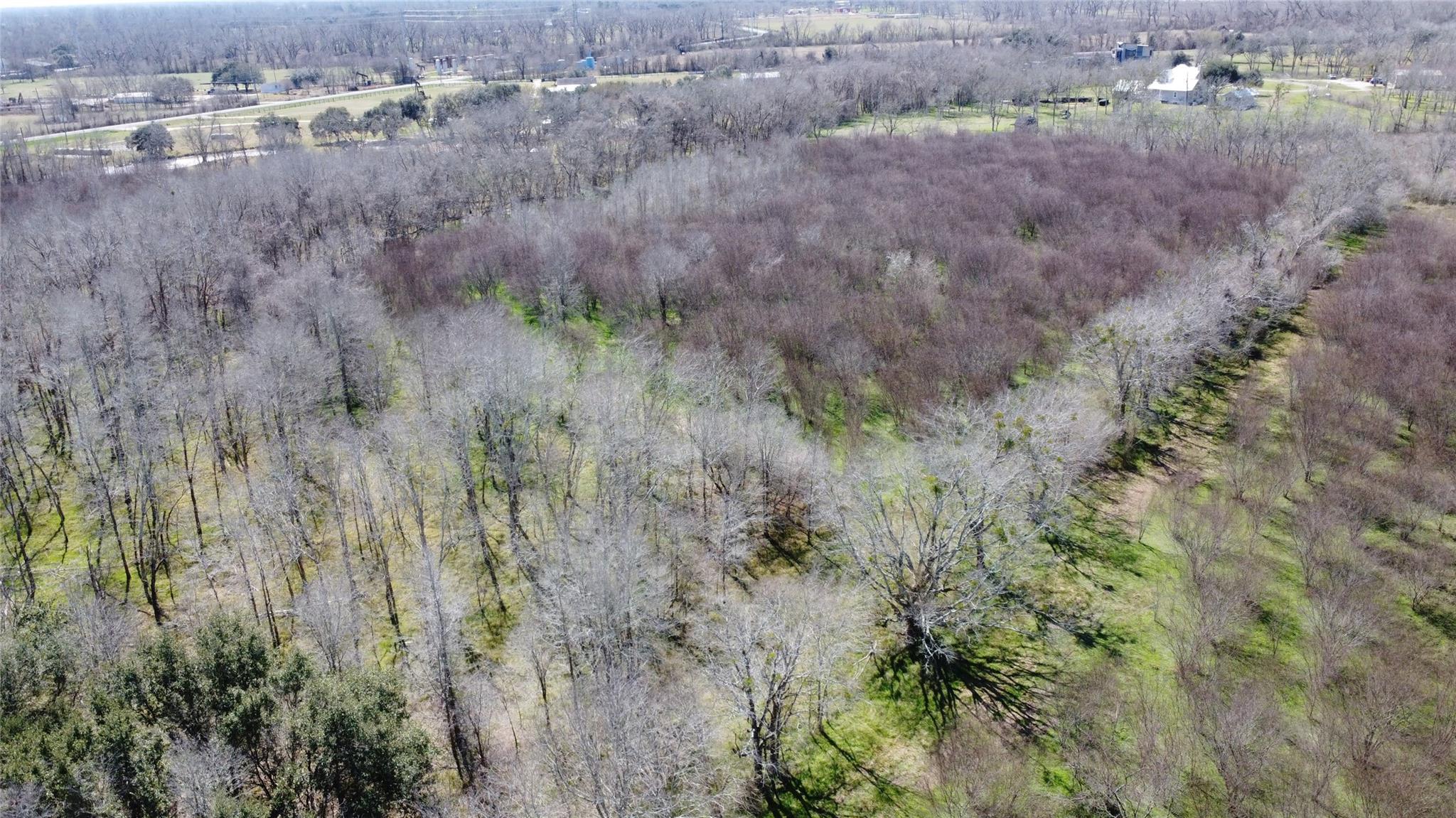 550 Peach Ridge Road