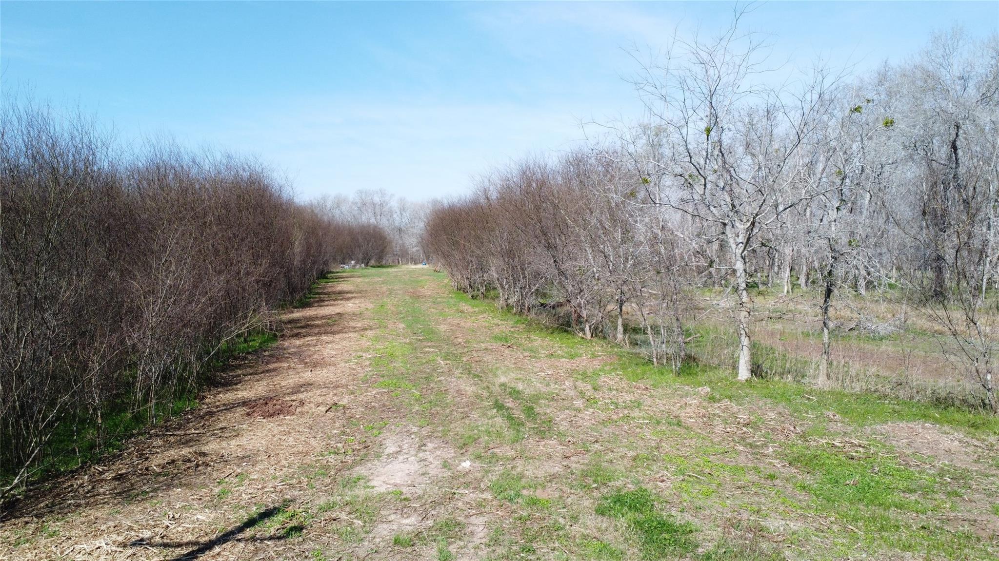 550 Peach Ridge Road