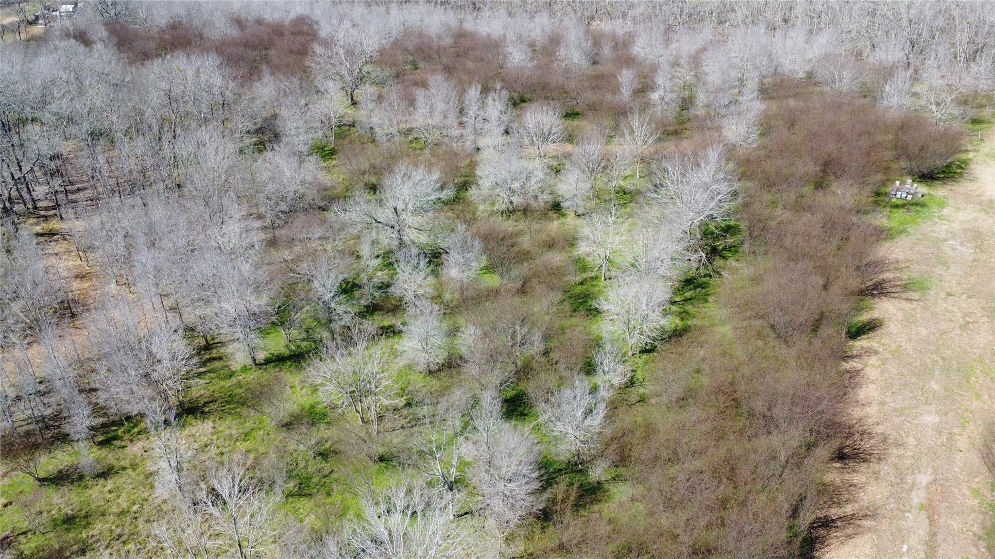 550 Peach Ridge Road