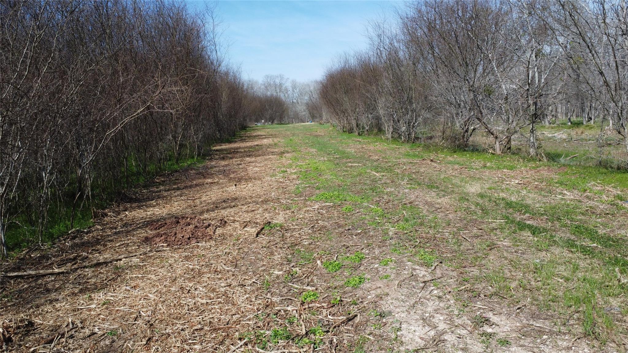 550 Peach Ridge Road