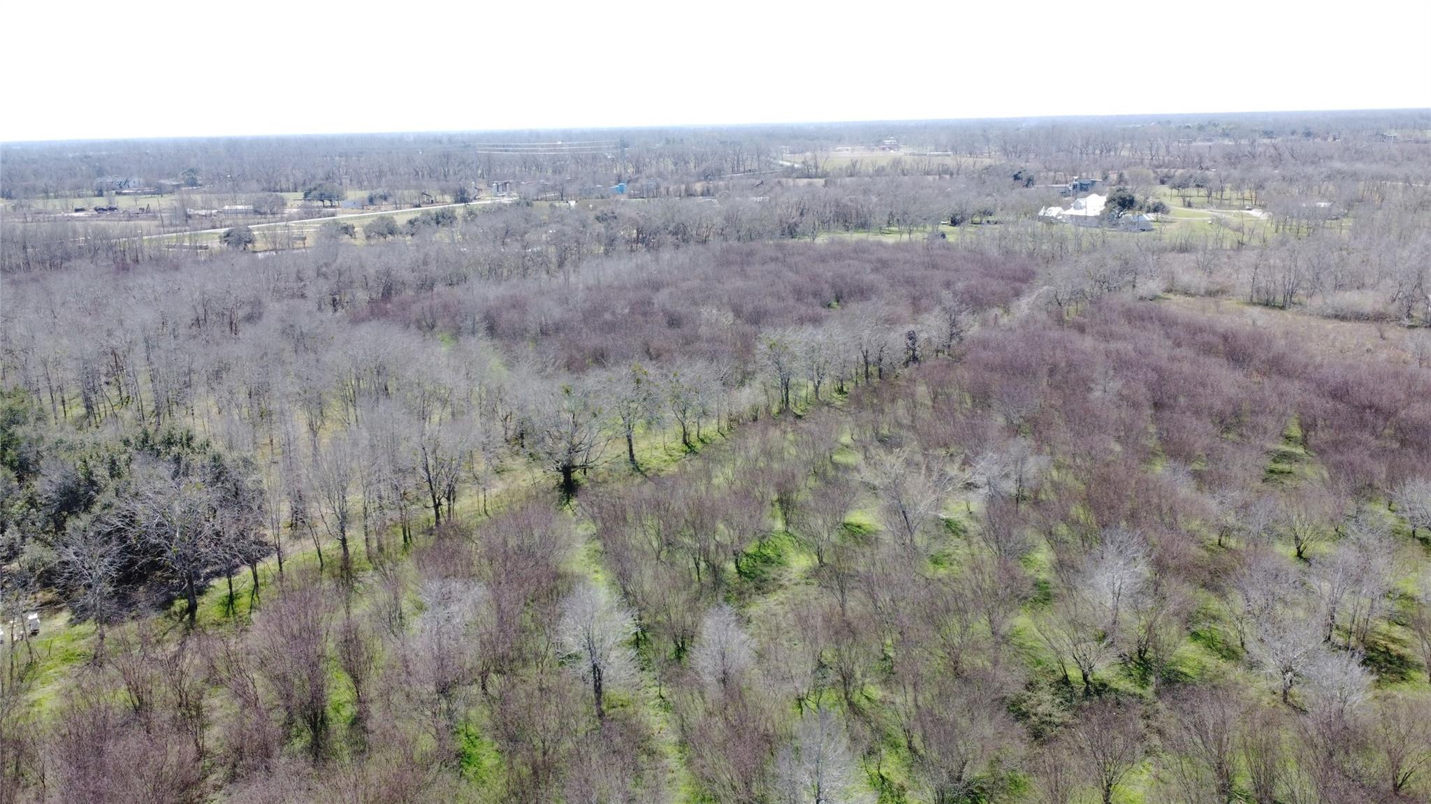 550 Peach Ridge Road