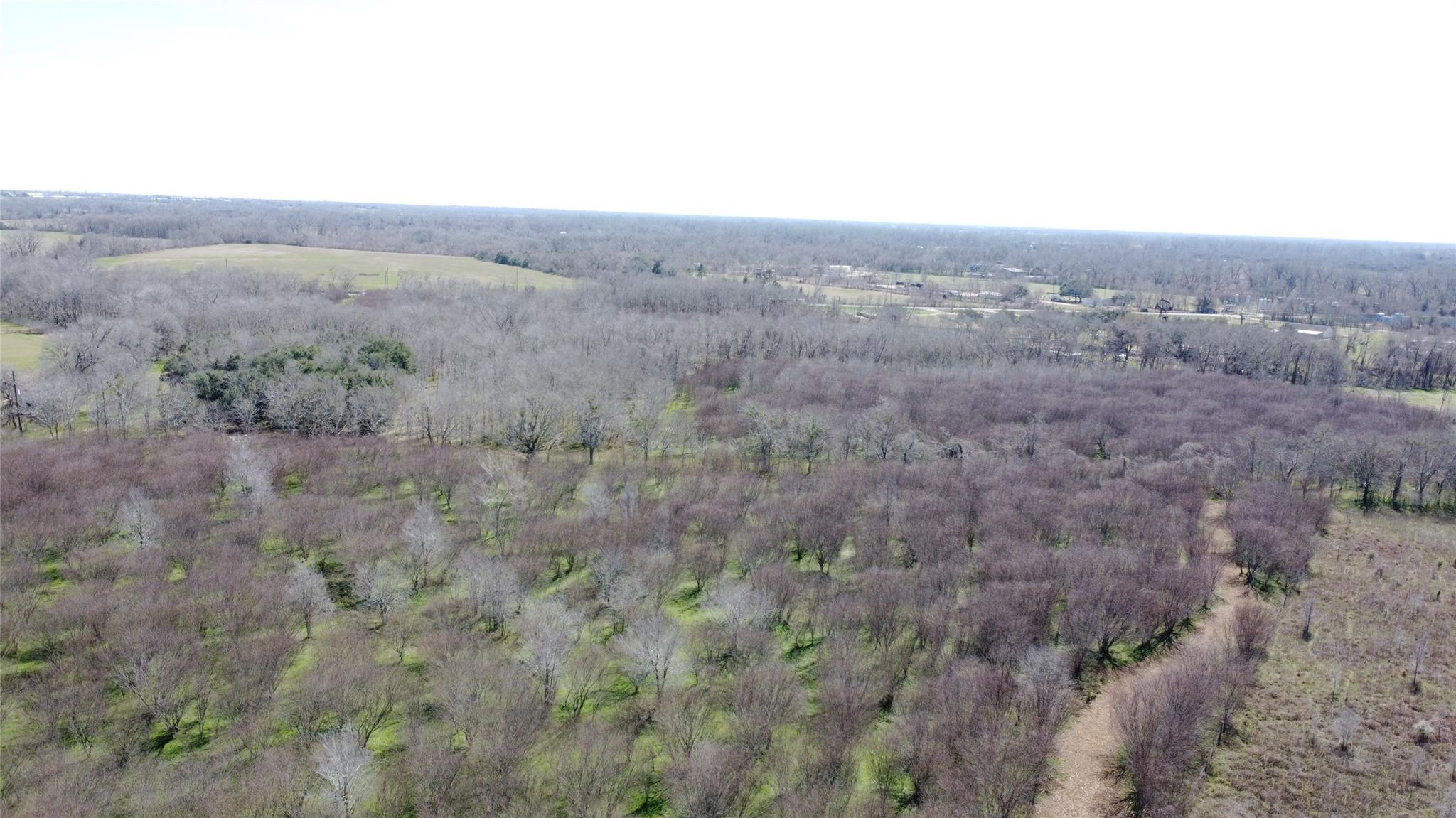 550 Peach Ridge Road