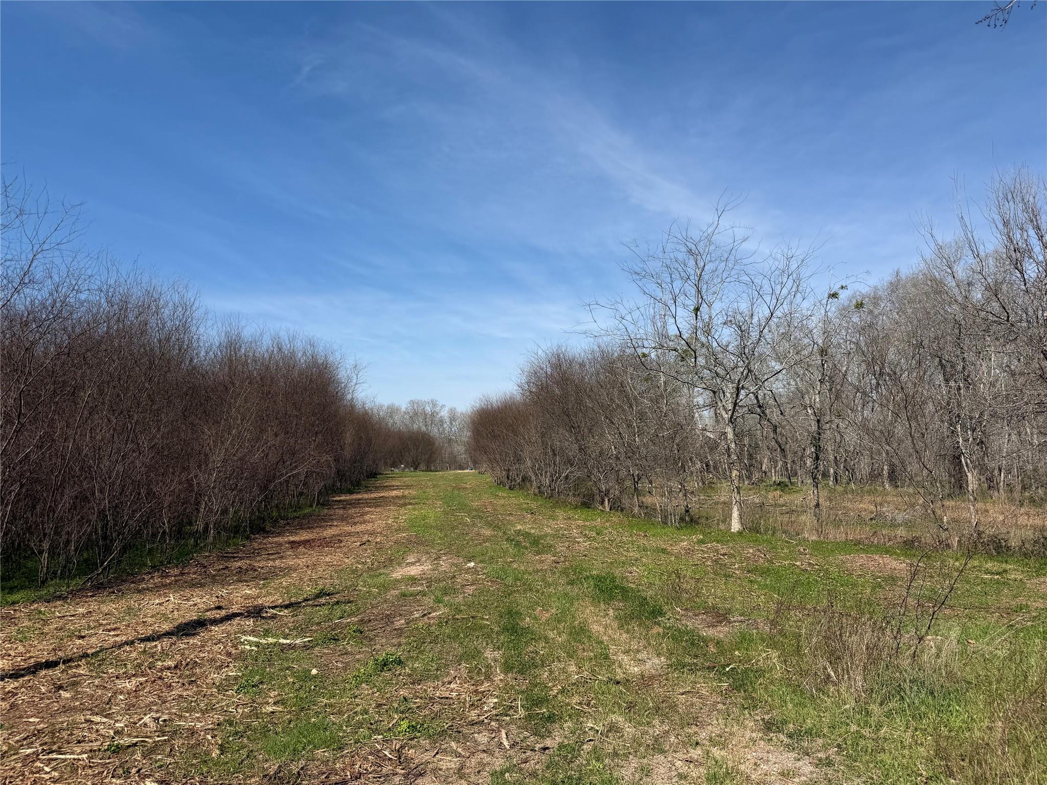 550 Peach Ridge Road