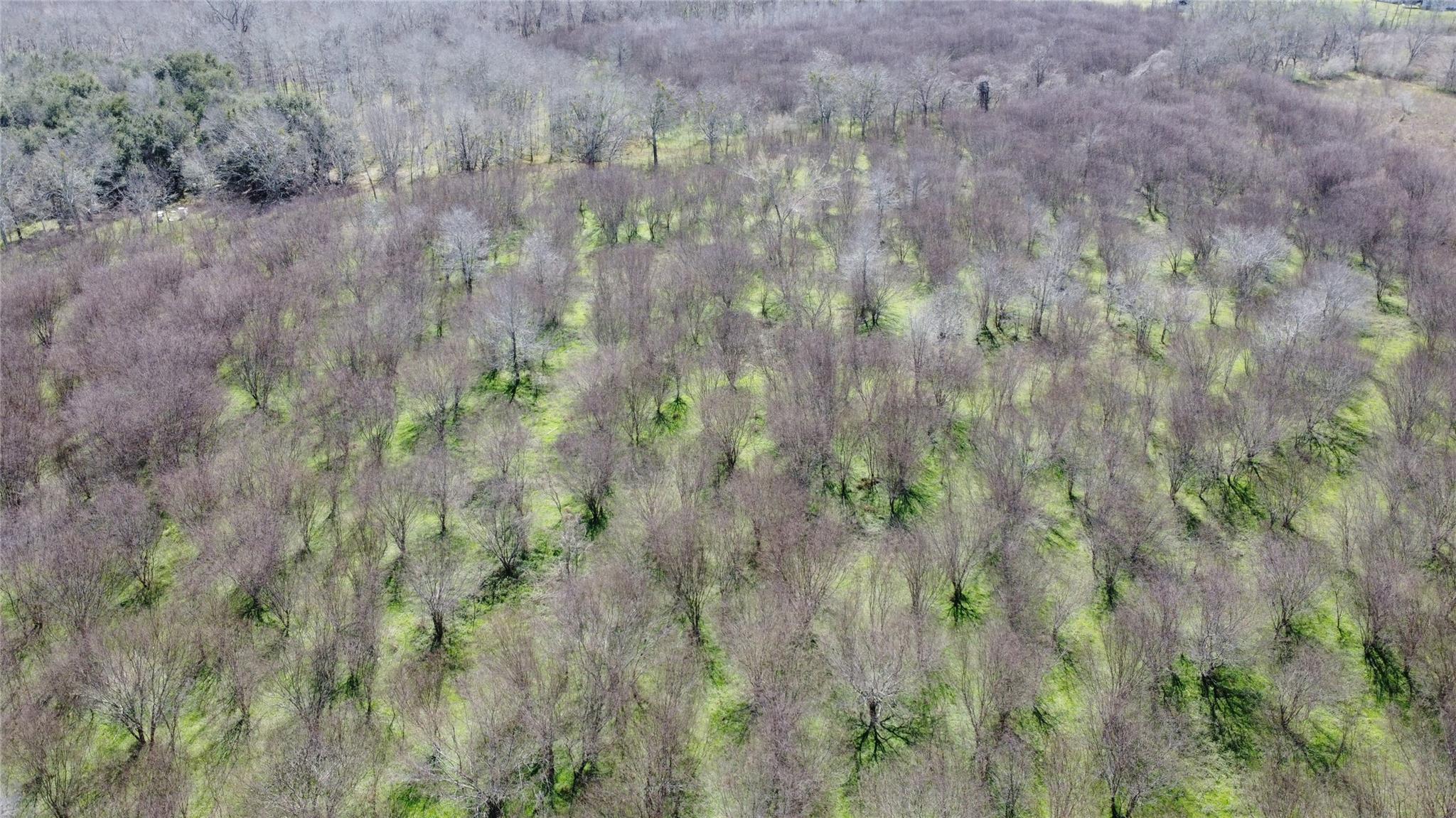 550 Peach Ridge Road