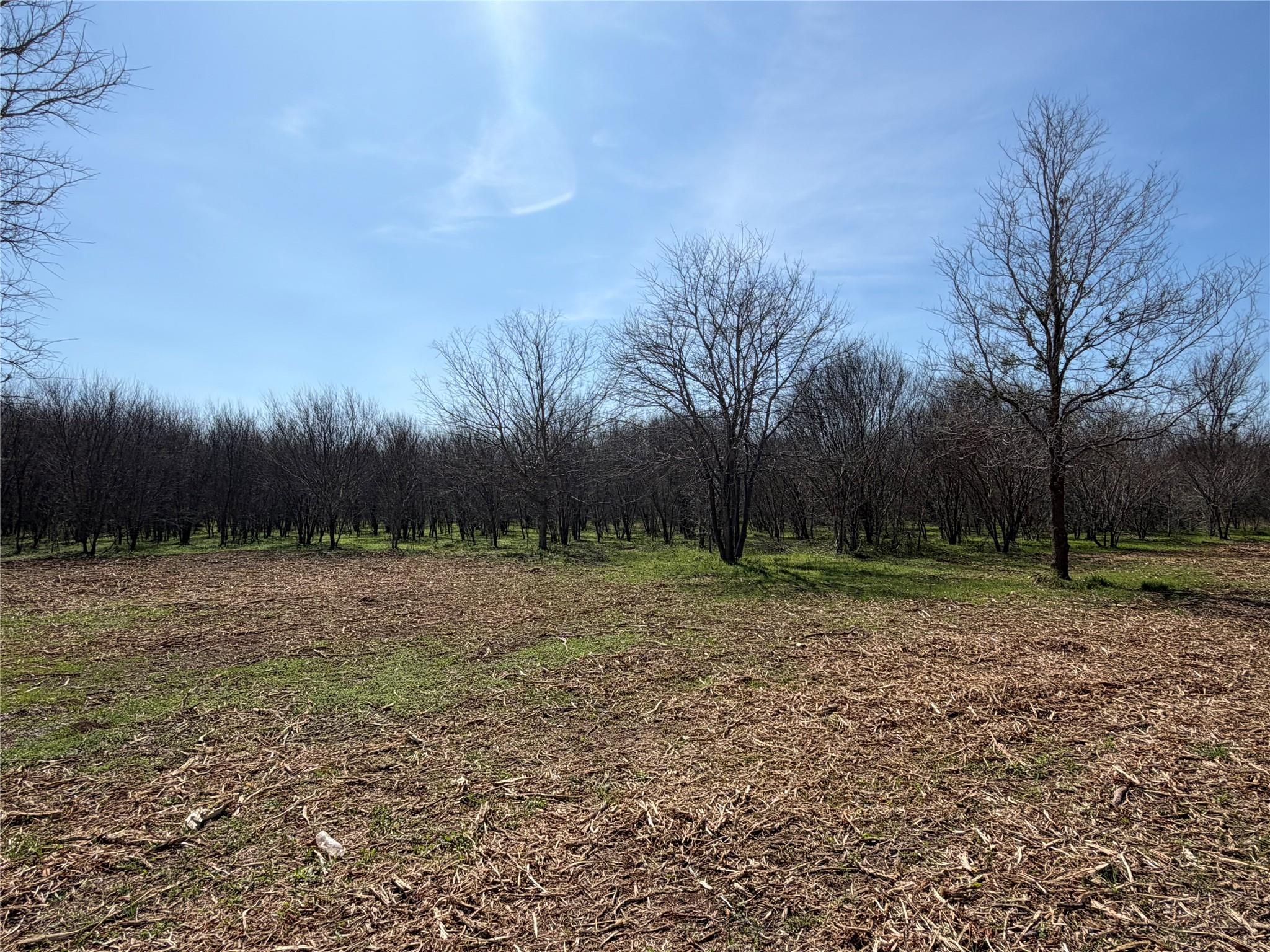 550 Peach Ridge Road