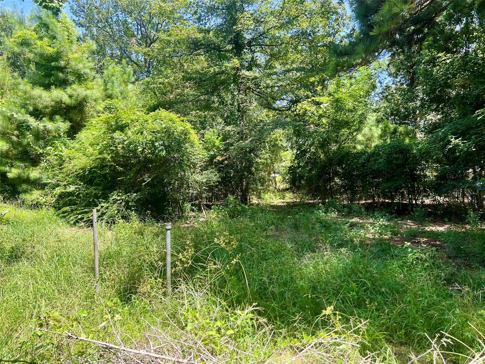 31018 Green Tree Road