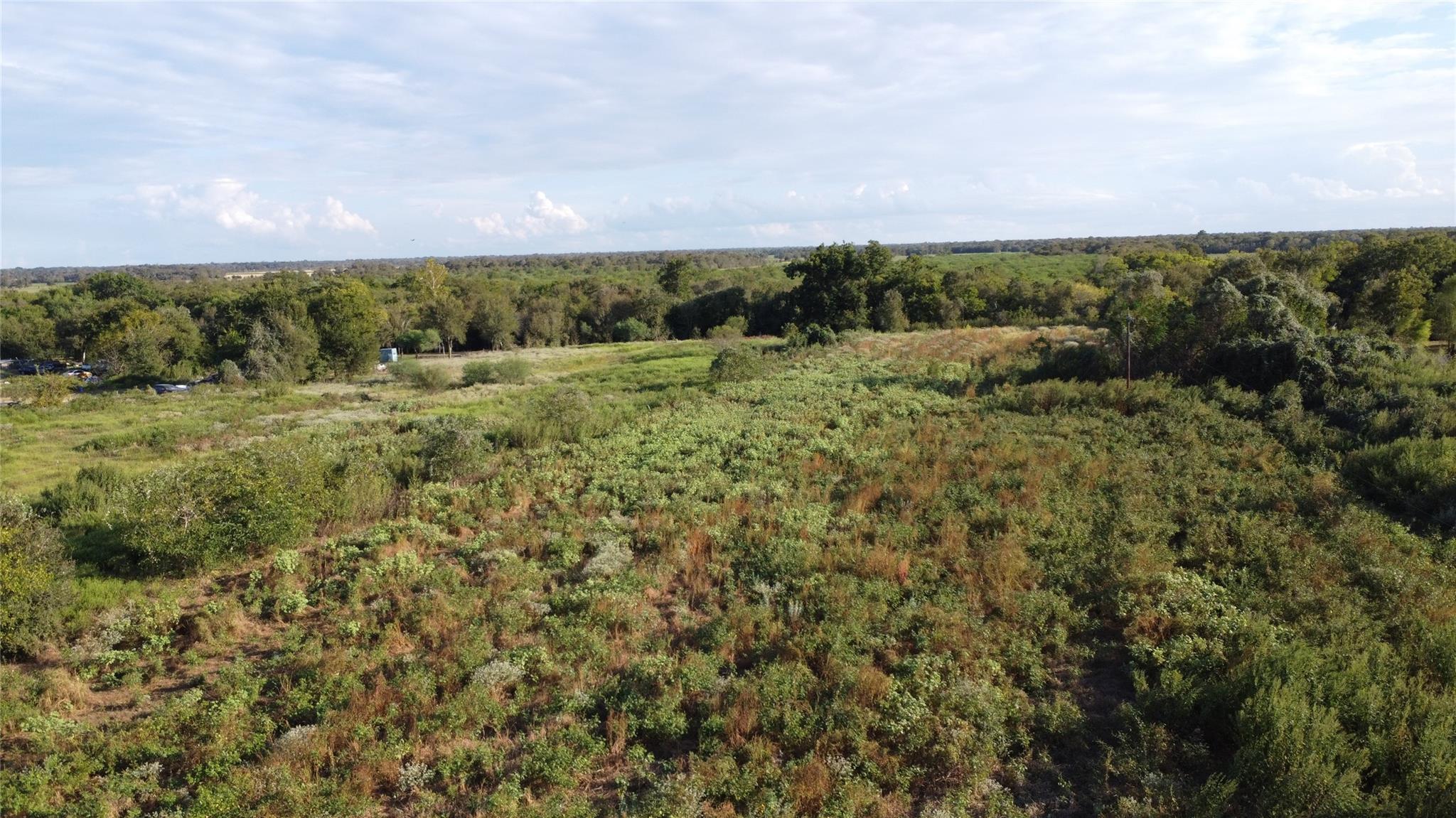 Aerial view of open acreage with brush and grasses bordered by a distant tree line.