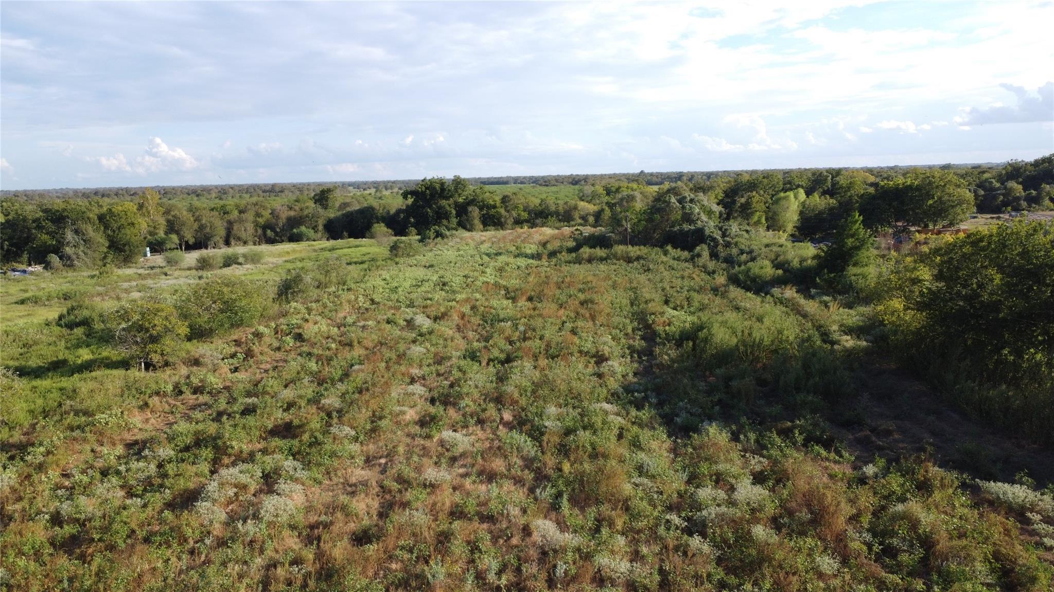 Aerial view of brush-covered vacant acreage bordered by mature trees.
