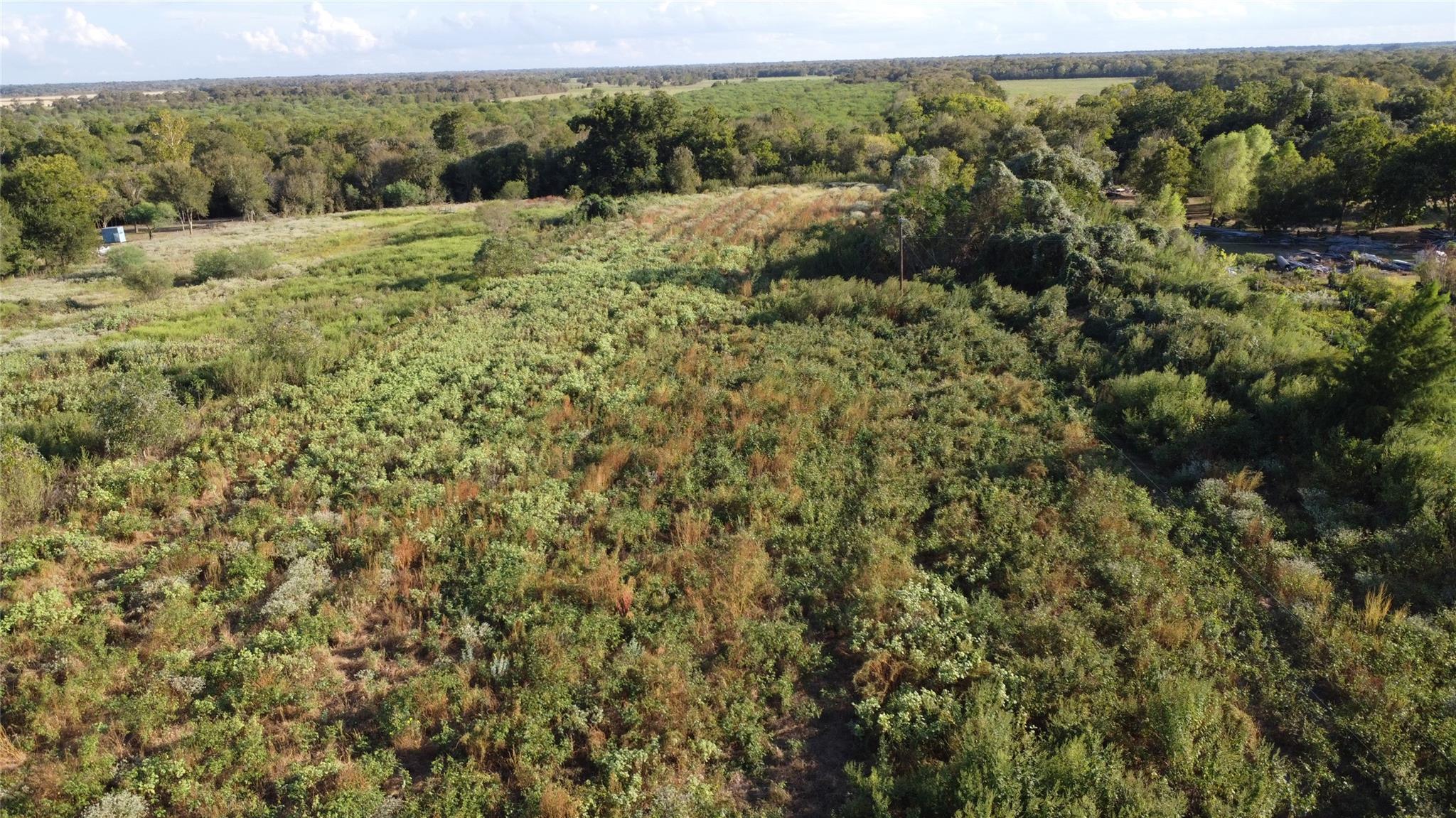 Aerial view of brush-covered acreage bordered by mature trees.