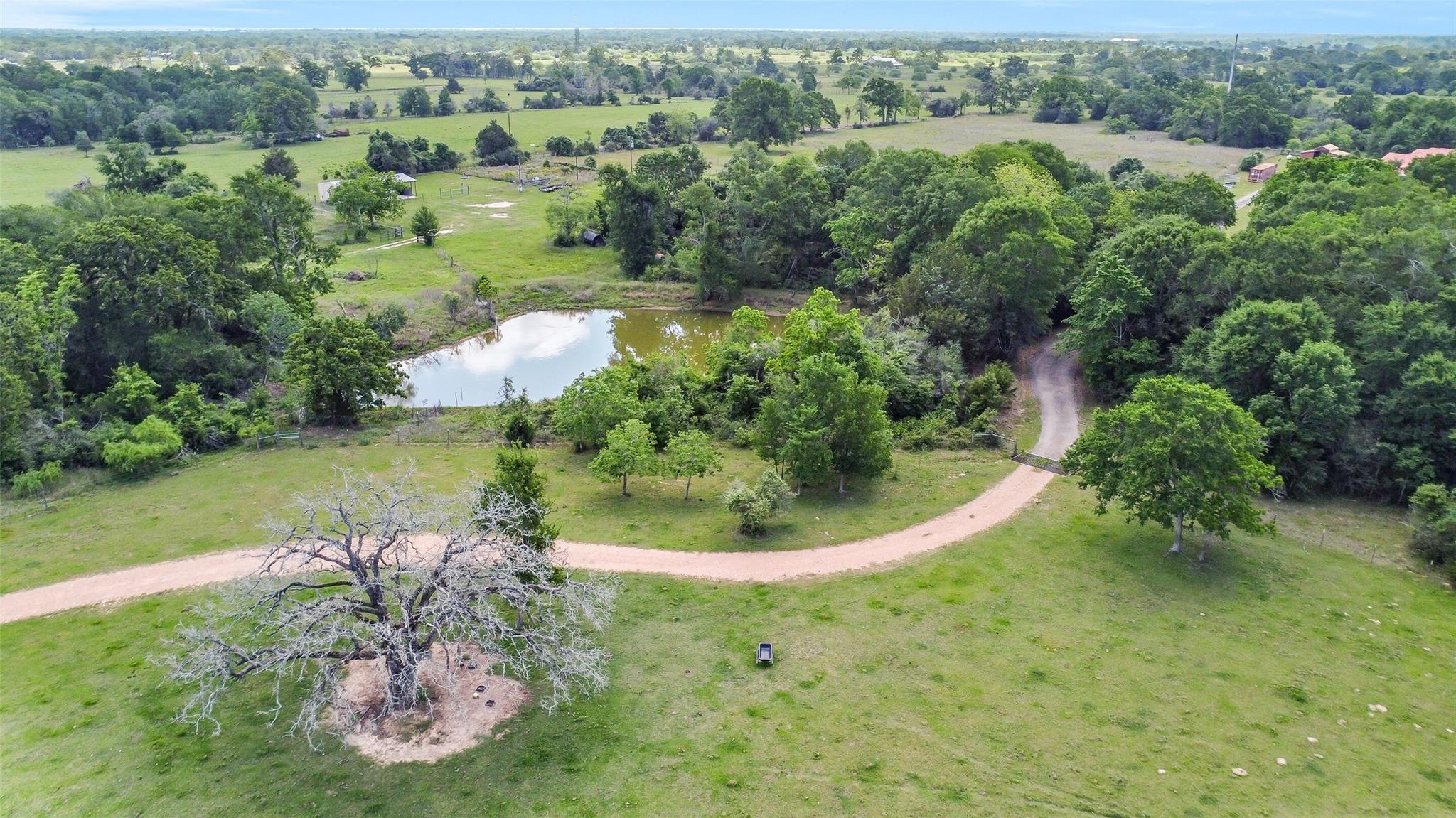 41545 Fm 3346 Road