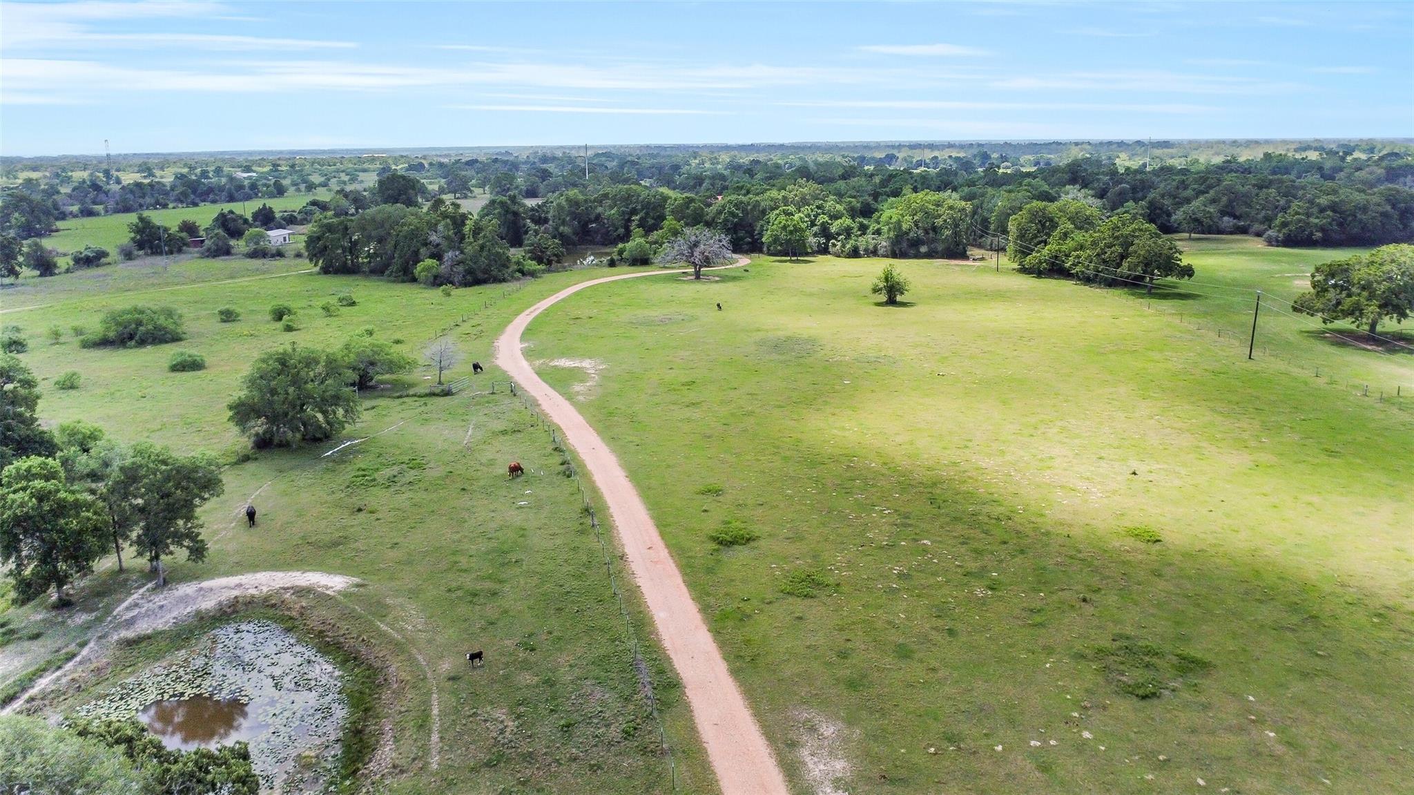 41545 Fm 3346 Road