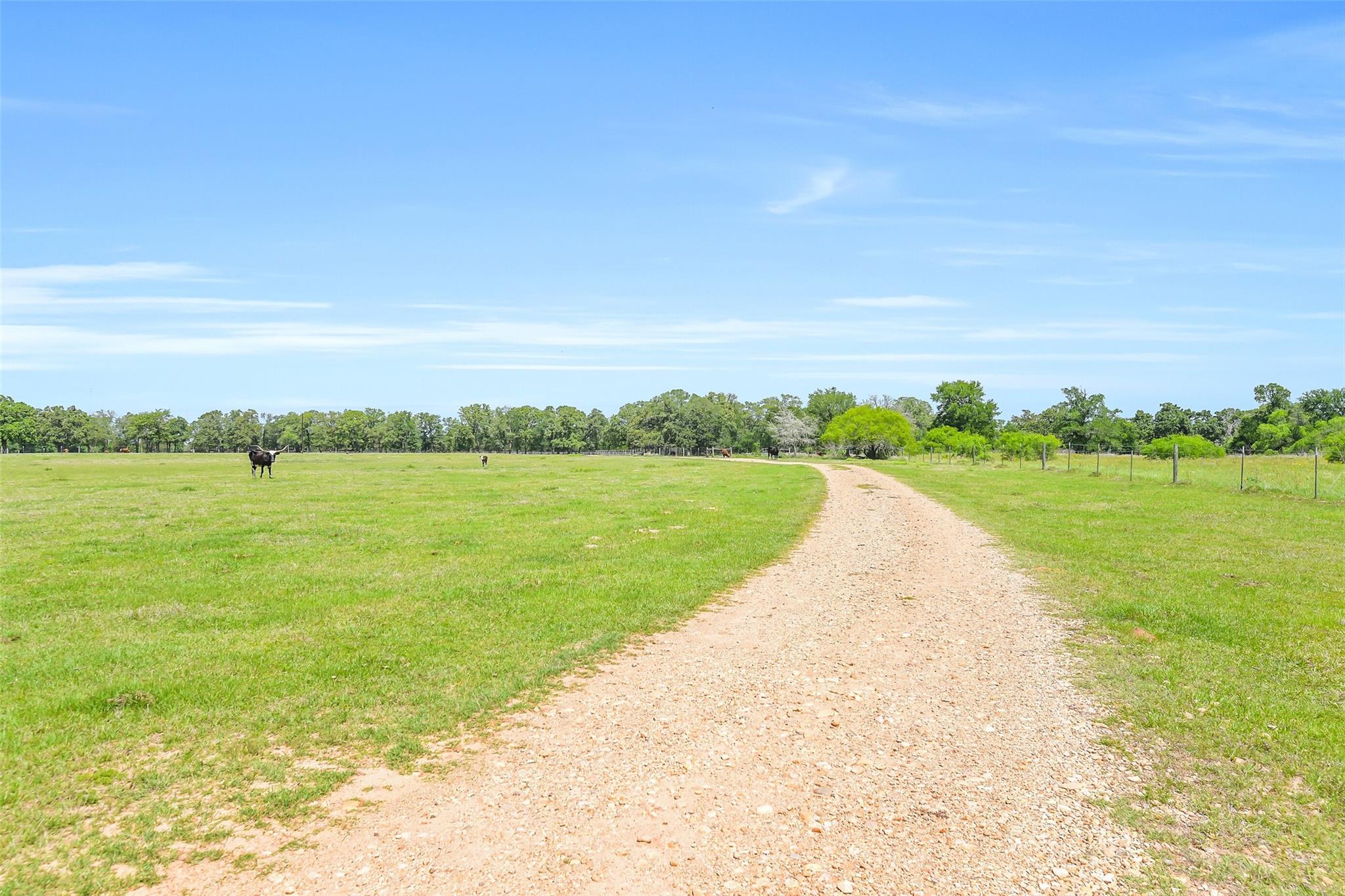 41545 Fm 3346 Road