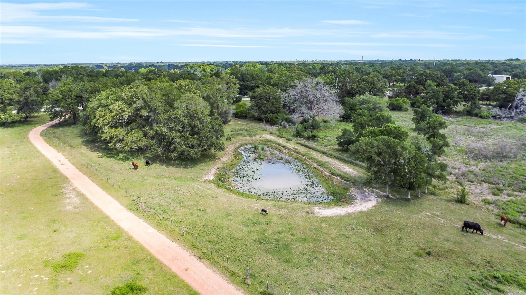 41545 Fm 3346 Road