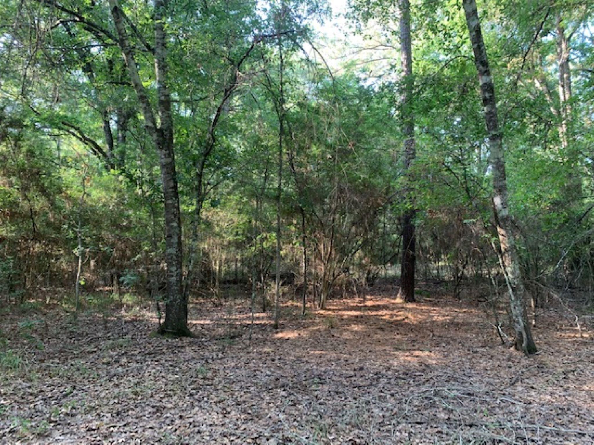 0000 Kickapoo Road